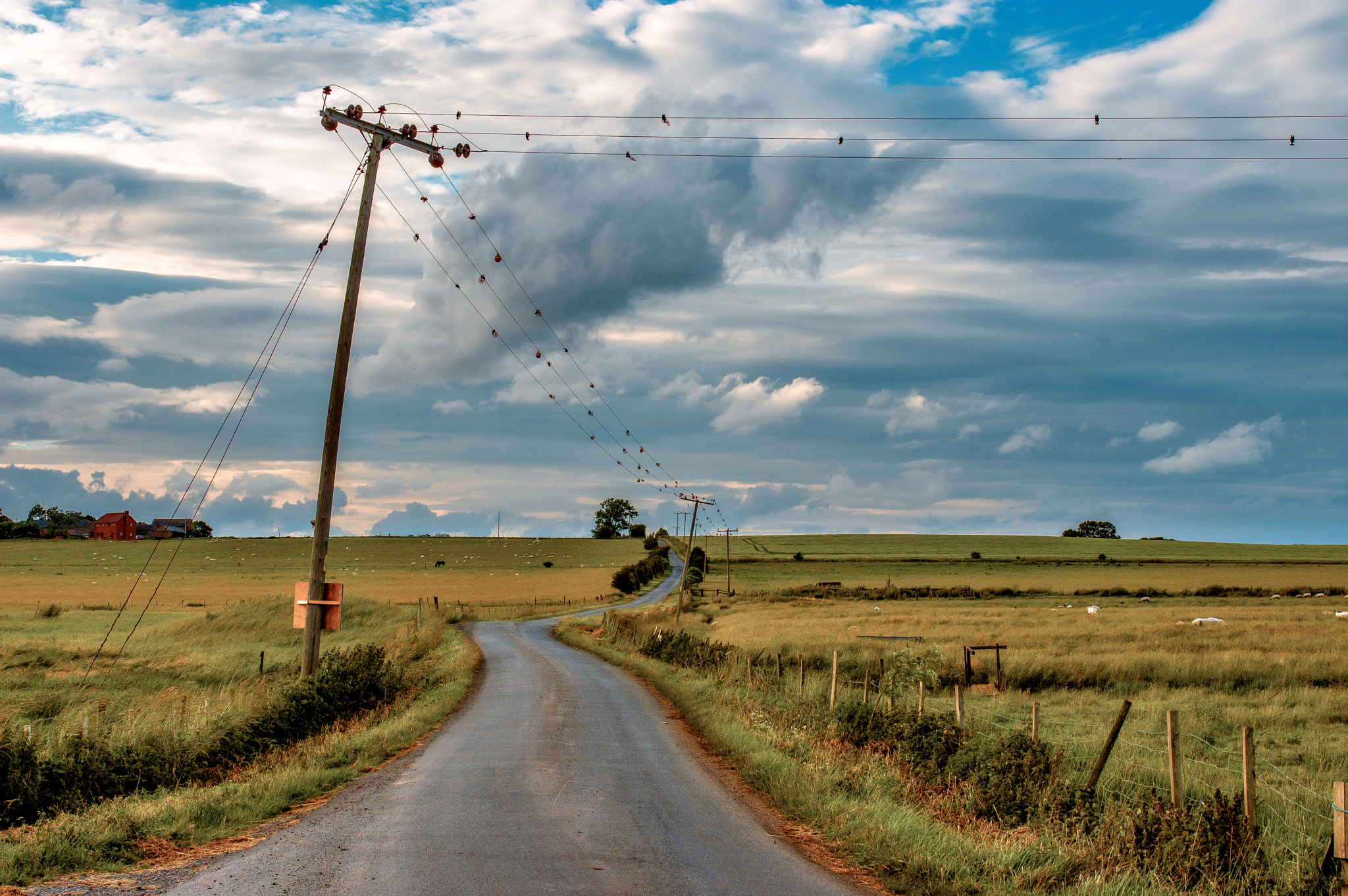 Pentax K-3 + Sigma 35mm F1.4 DG HSM Art sample photo. The road photography