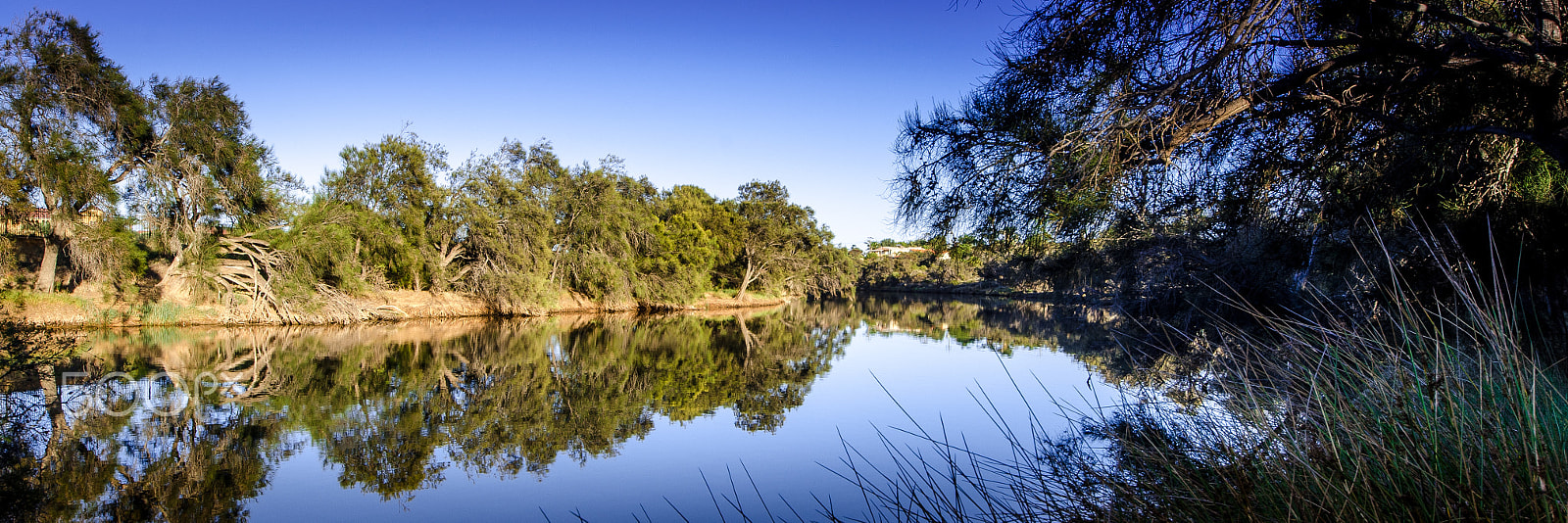 Sigma 8-16mm F4.5-5.6 DC HSM sample photo. Chapman river photography