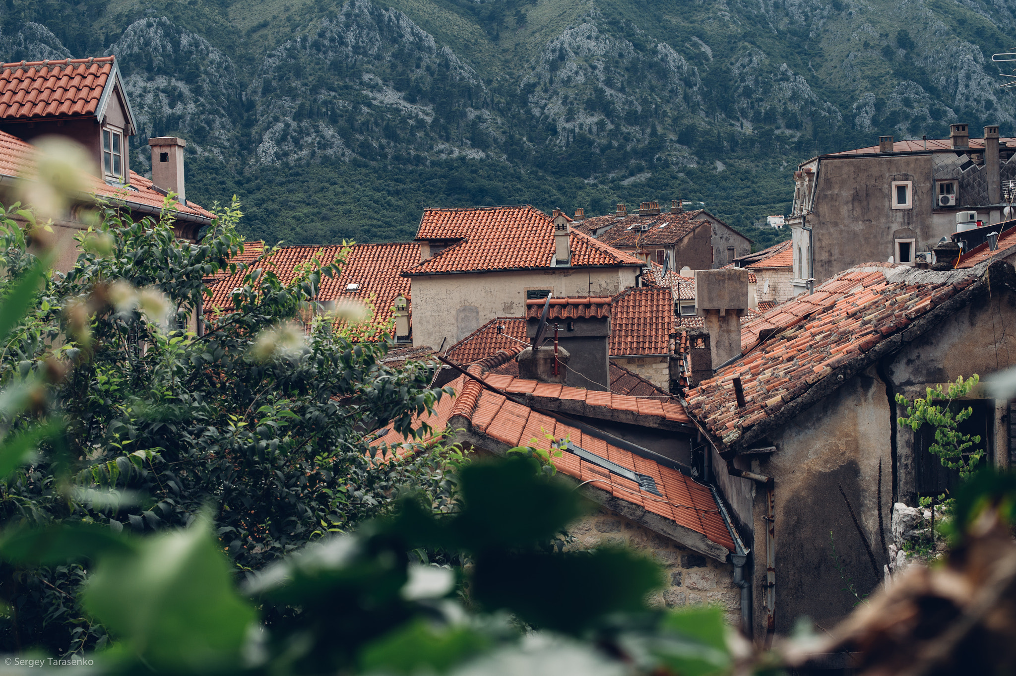 Nikon Df + Nikon AF-S Nikkor 50mm F1.4G sample photo. Kotor, montenegro photography