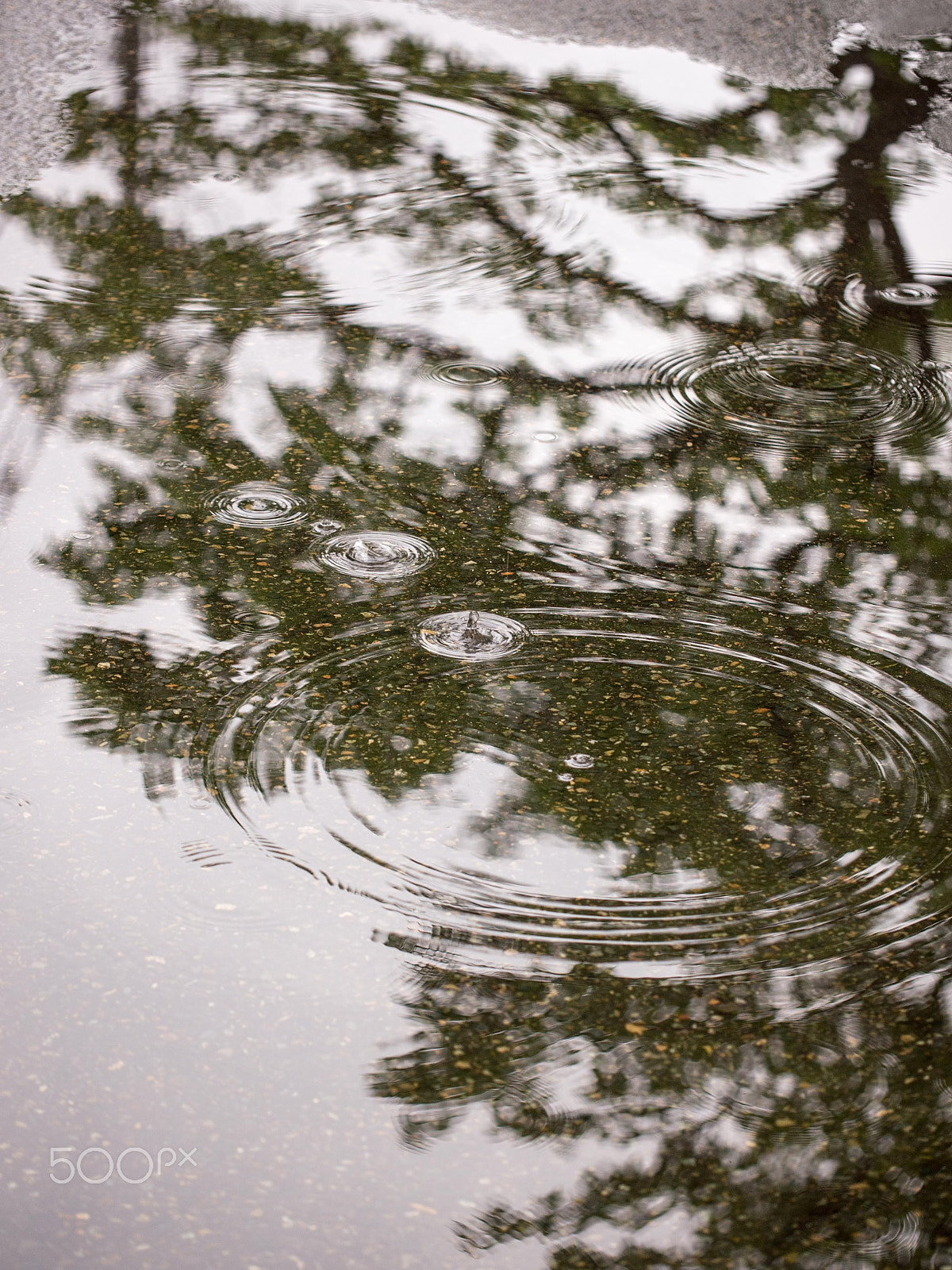 Olympus PEN E-PM1 sample photo. Rain drops photography