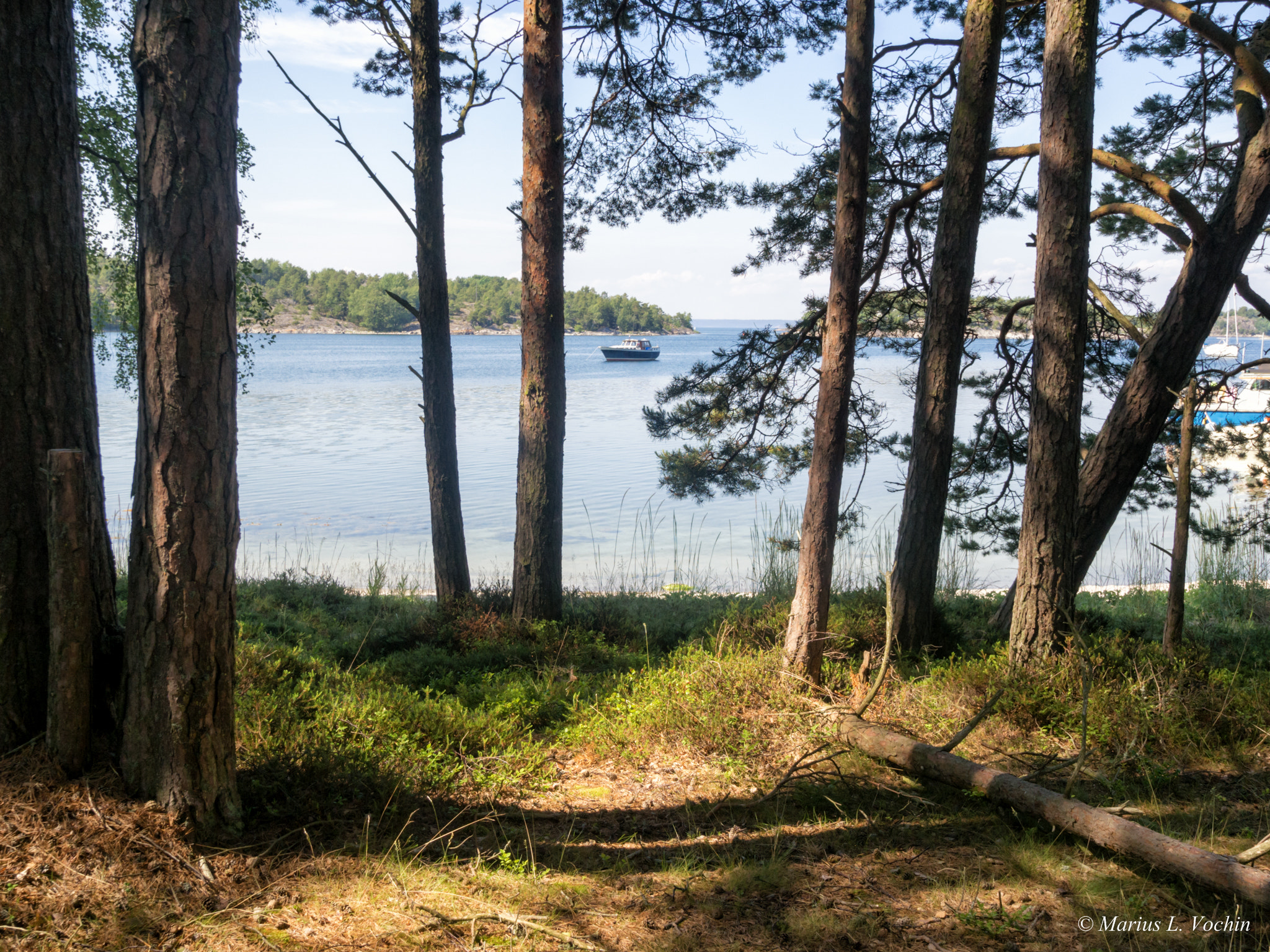 Olympus OM-D E-M10 II + OLYMPUS M.9-18mm F4.0-5.6 sample photo. Nåttarö - looking between the branches photography
