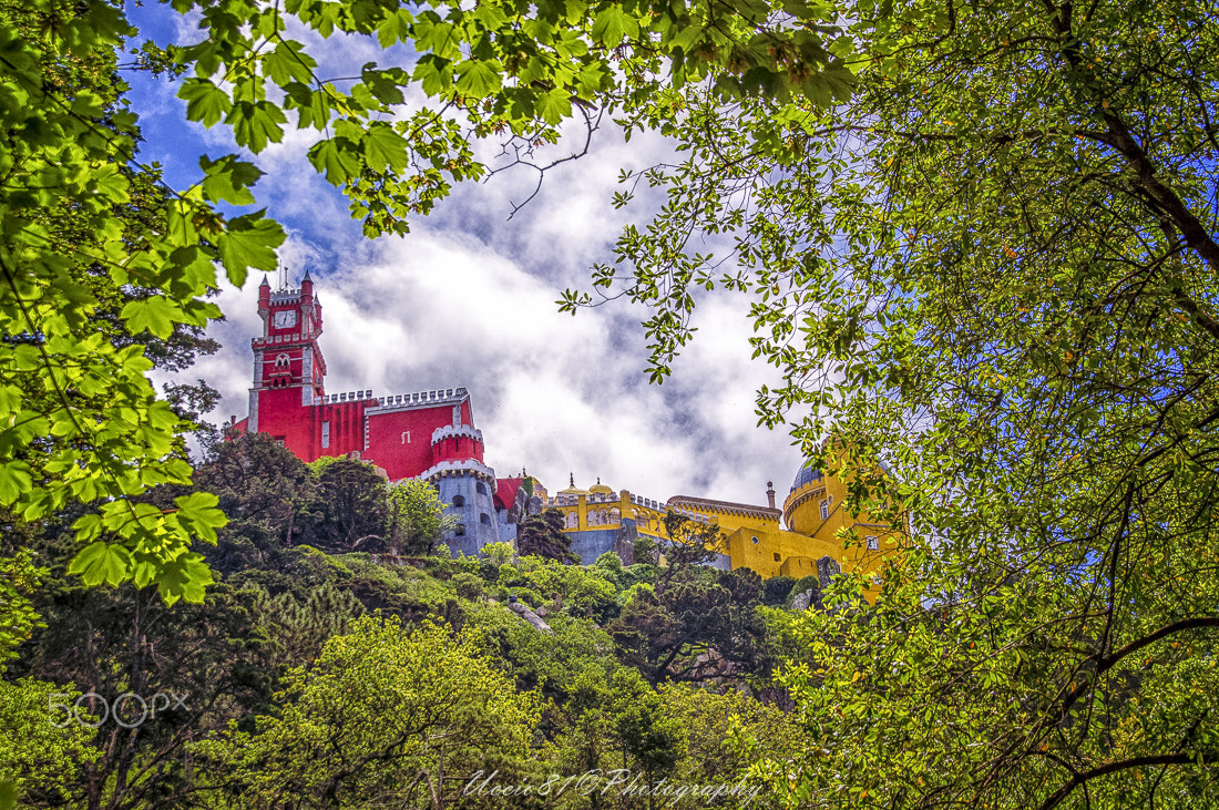 Sony Alpha DSLR-A580 sample photo. Sintra view photography