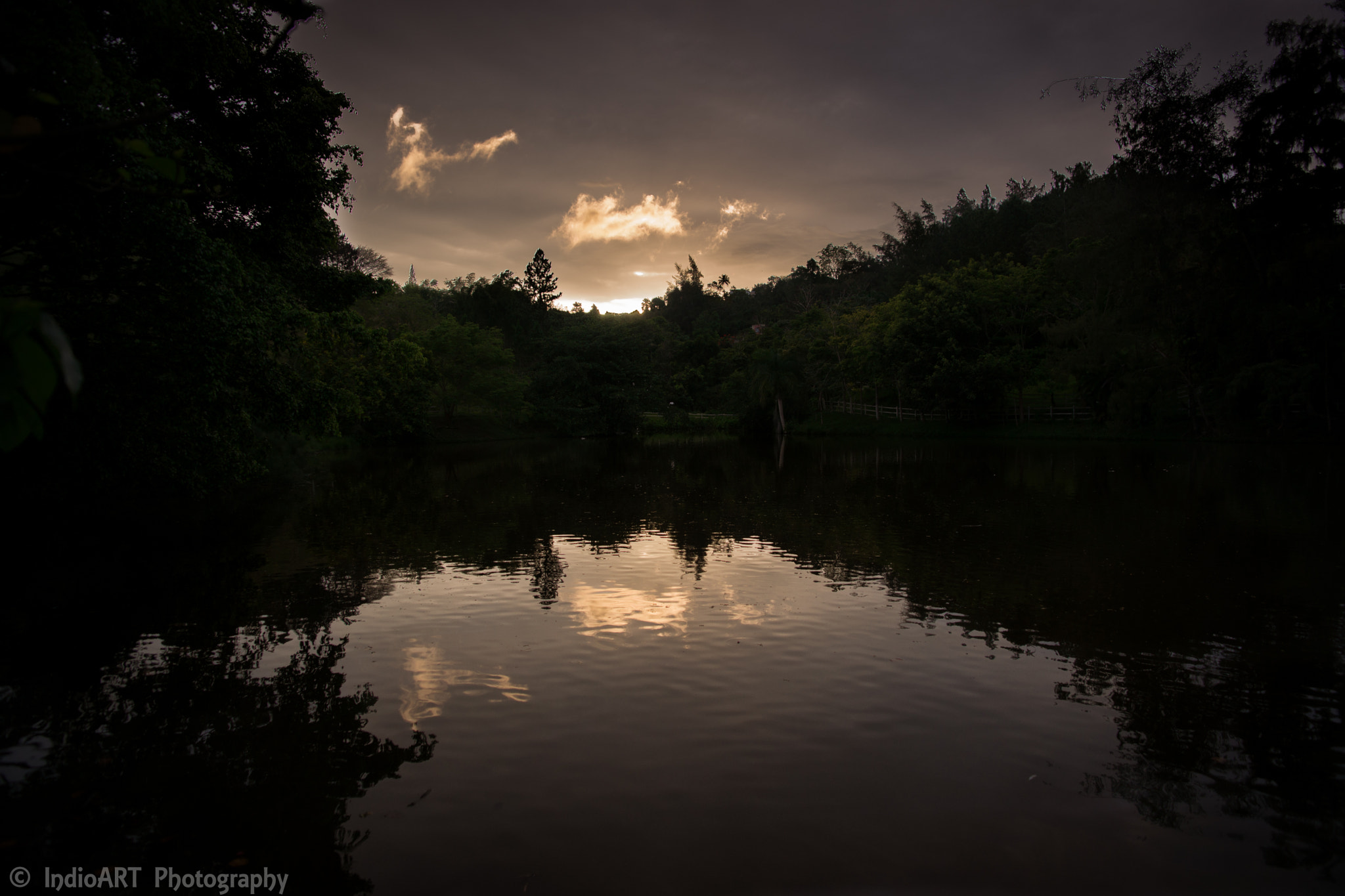 Sony Alpha DSLR-A850 sample photo
