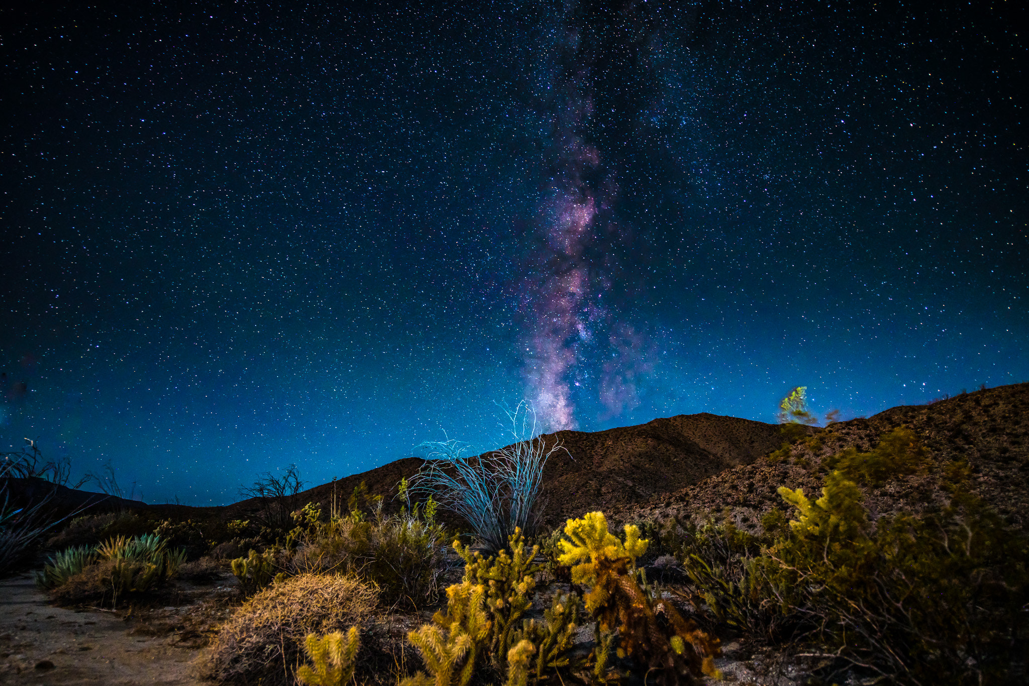 14-24mm F2.8-2.8 G sample photo. Milky way on the desert photography