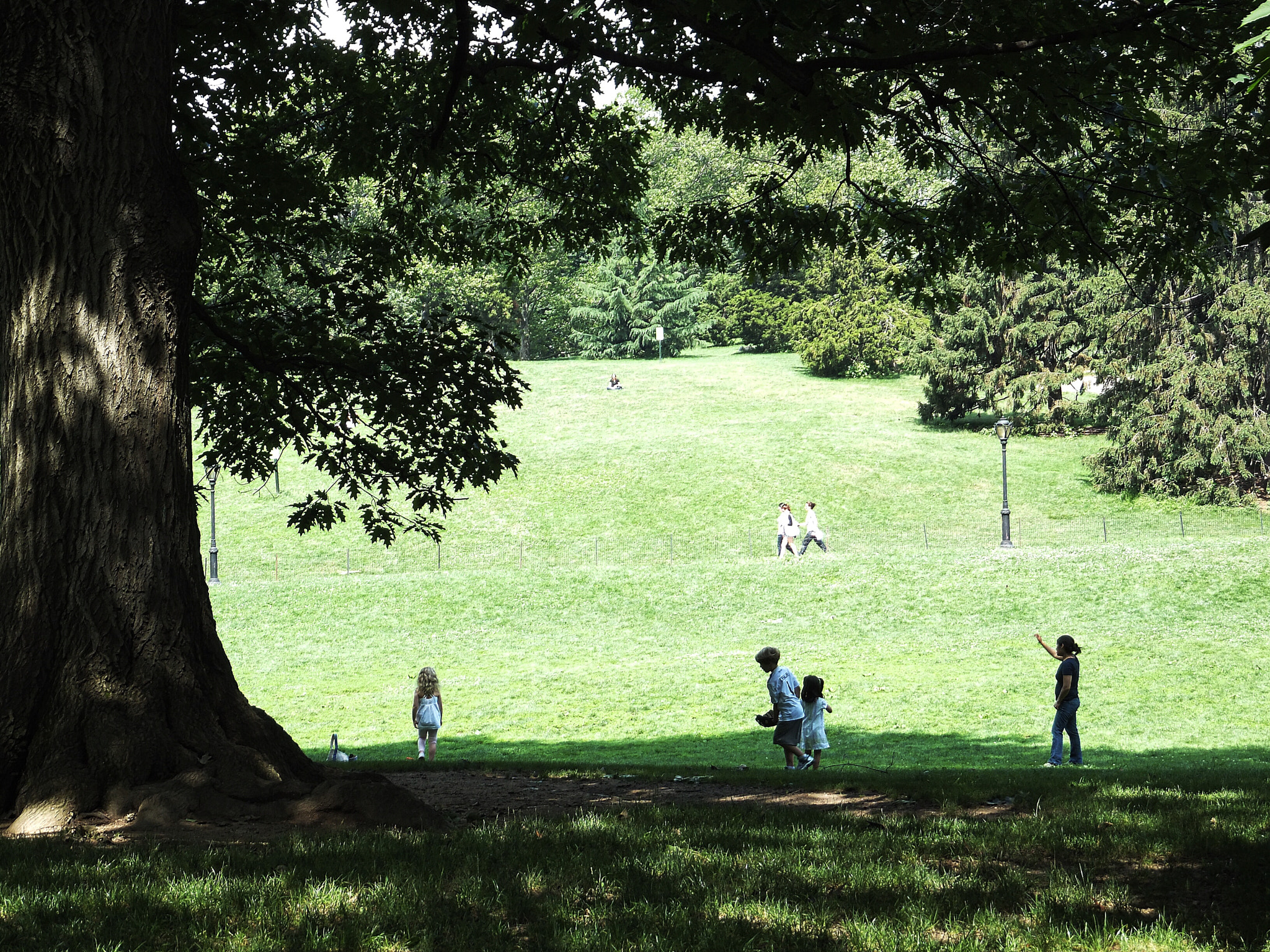 Fujifilm FinePix F550EXR sample photo. Central park, nyc photography