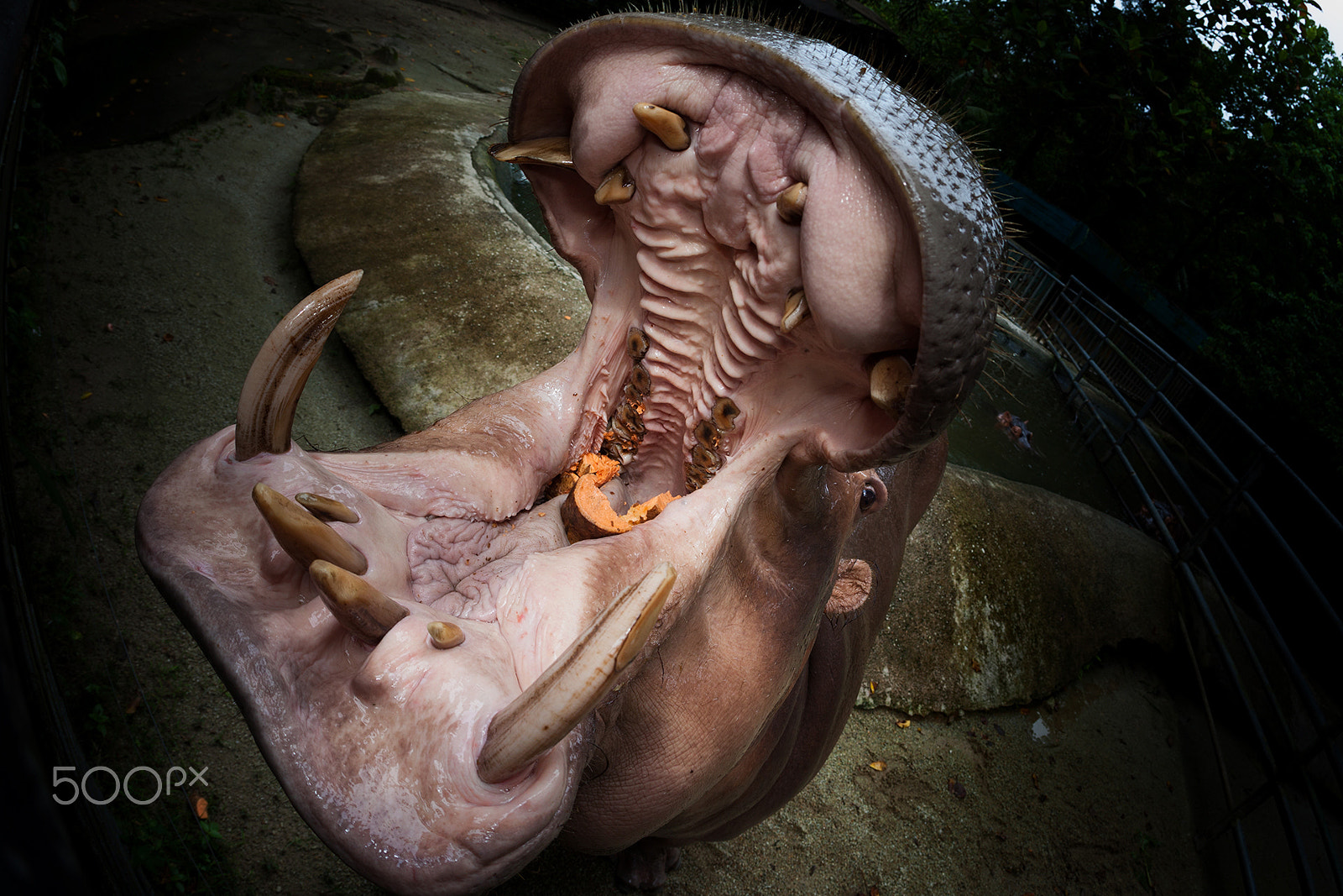Canon EF 15mm F2.8 Fisheye sample photo. Wide open photography