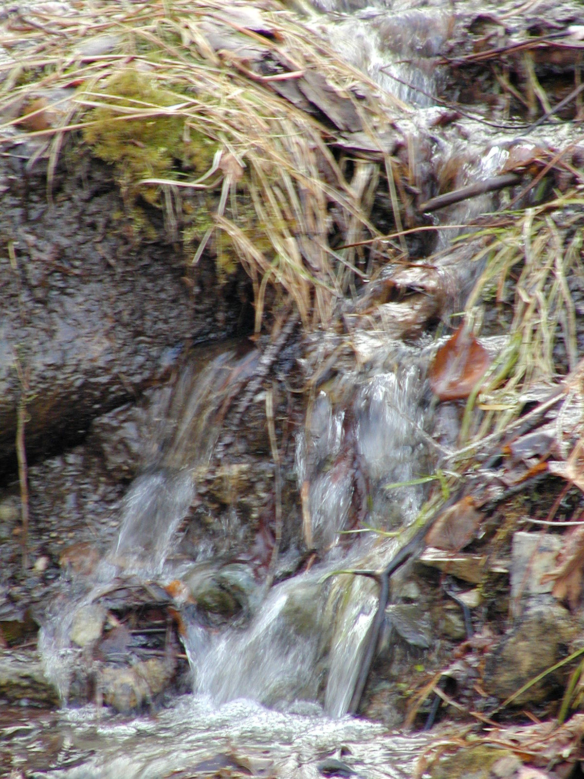 Olympus C2100UZ sample photo. Spring run-off. photography