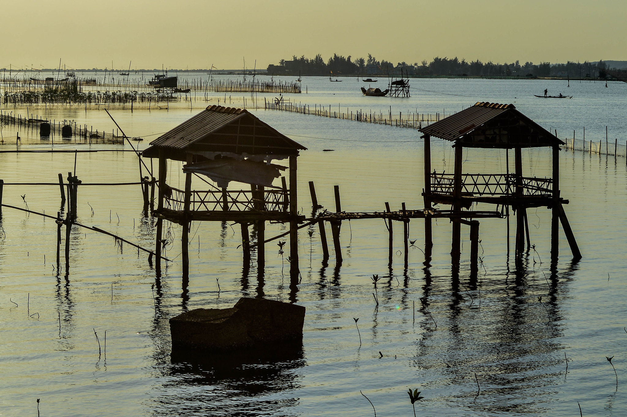 AF Zoom-Nikkor 70-210mm f/4 sample photo. Chòi đôi photography
