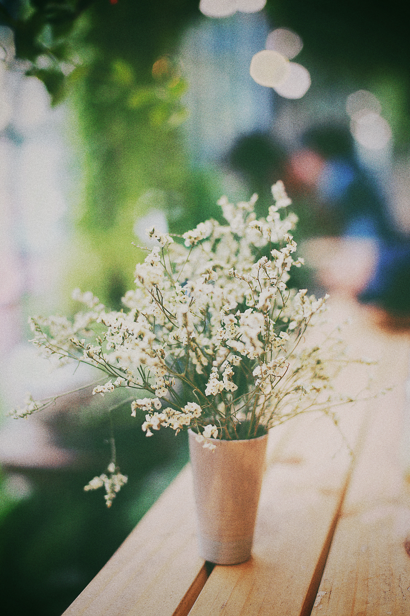 Canon EF 28-70mm f/3.5-4.5 sample photo. Minimal flowers. photography