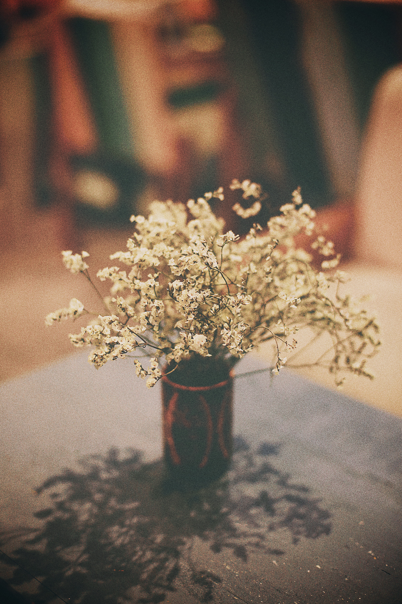 Canon EF 28-70mm f/3.5-4.5 sample photo. Minimal flowers. photography