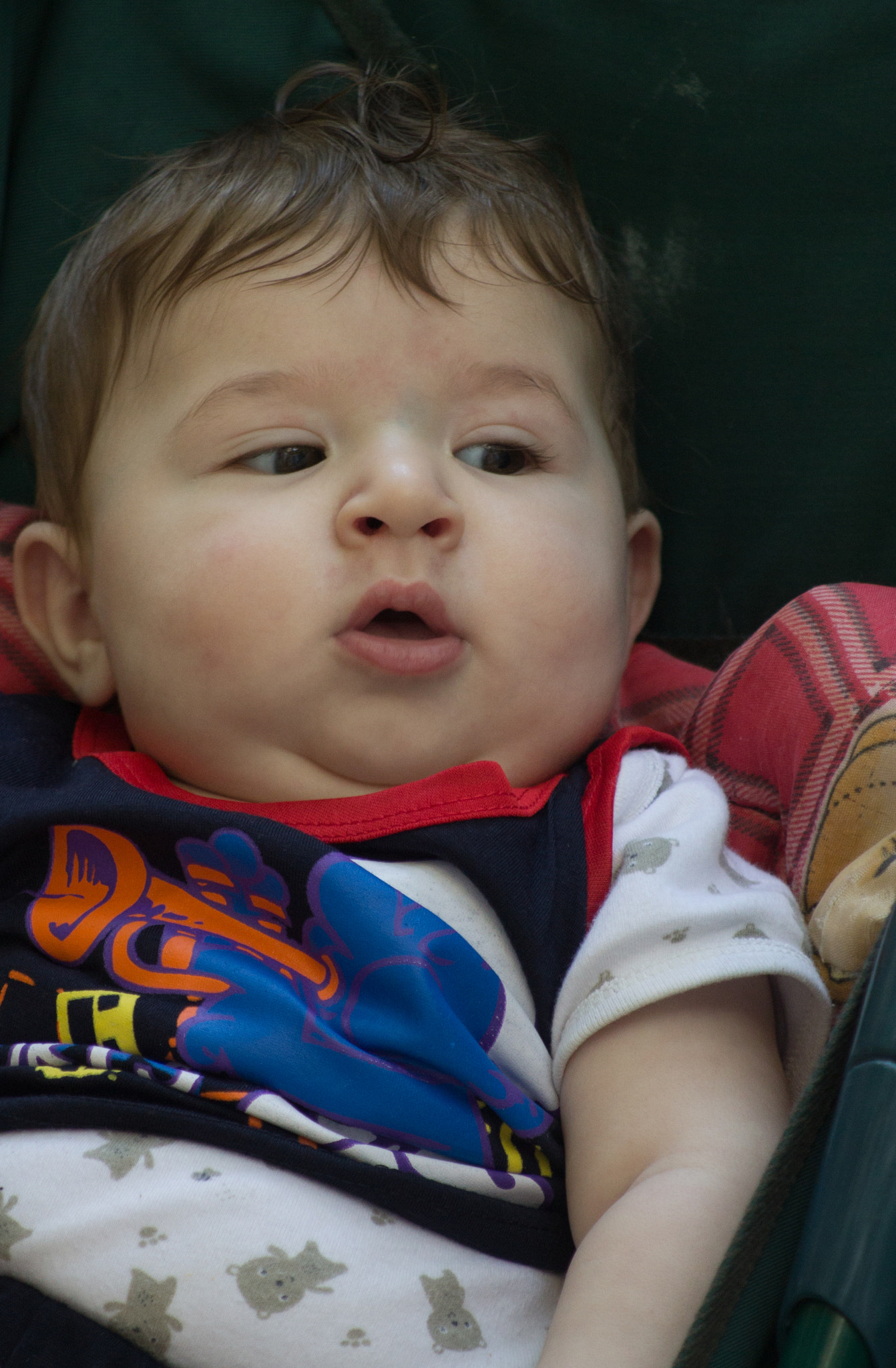 Canon EF 80-200mm F4.5-5.6 II sample photo. Maziiiin(sur ) photography