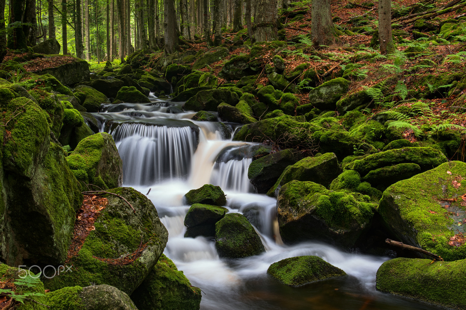 Nikon D500 + Tamron AF 28-75mm F2.8 XR Di LD Aspherical (IF) sample photo. A small creek in the bavarian forest v photography