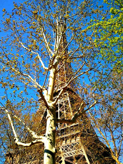 Samsung Galaxy S sample photo. 2013-04-24 16.32.19.jpg photography