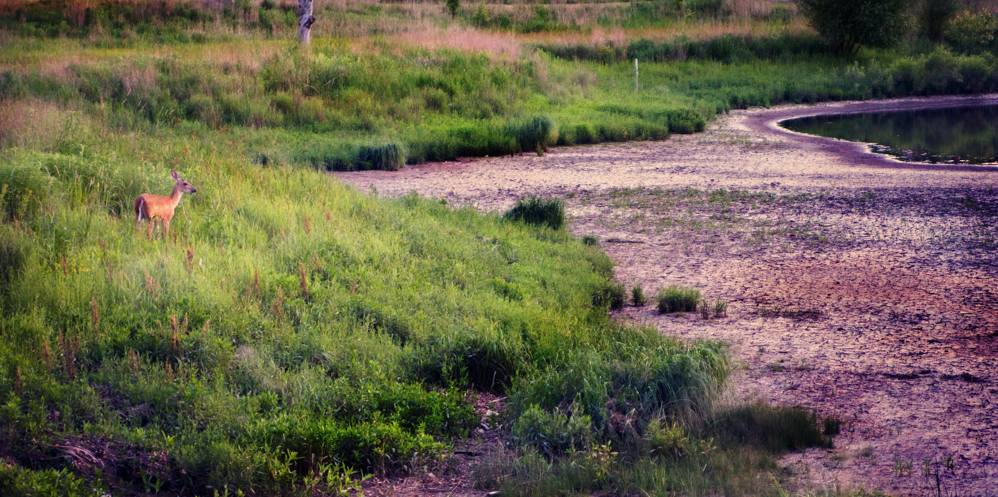Sony ILCA-77M2 + Tamron SP 24-70mm F2.8 Di VC USD sample photo. Watching the sunset photography