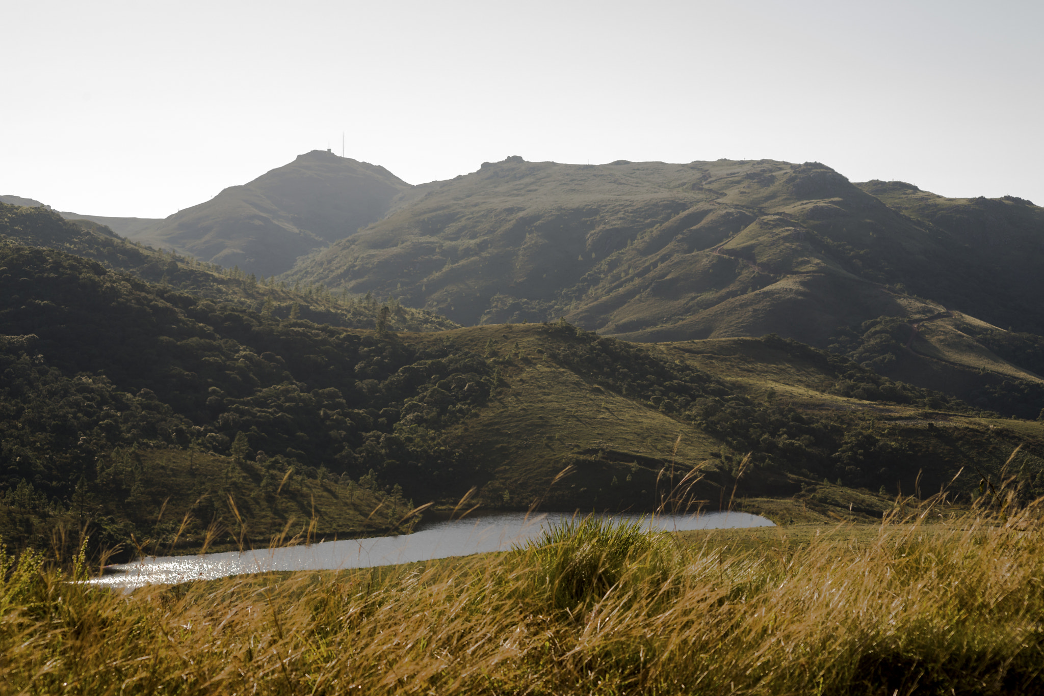 Sigma 70-300mm F4-5.6 APO DG Macro sample photo. Quiriri fields with water.. photography