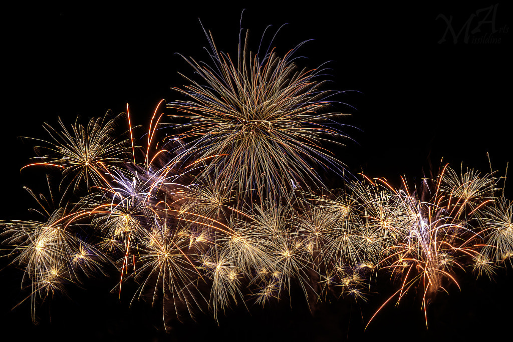 2016 Independence Day by Larry Missildine / 500px