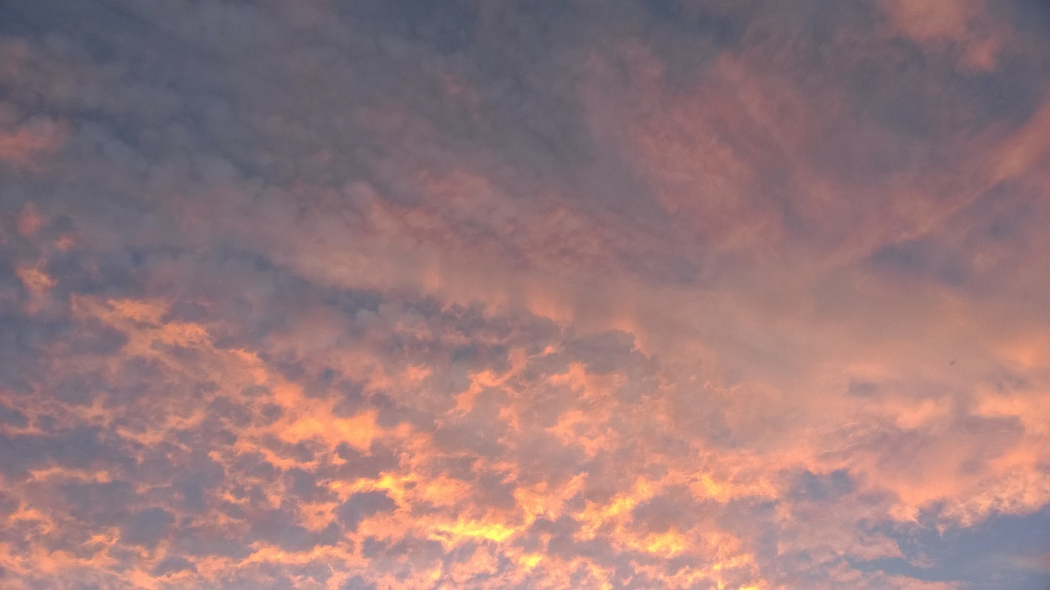 Nokia Lumia 730 Dual SIM sample photo