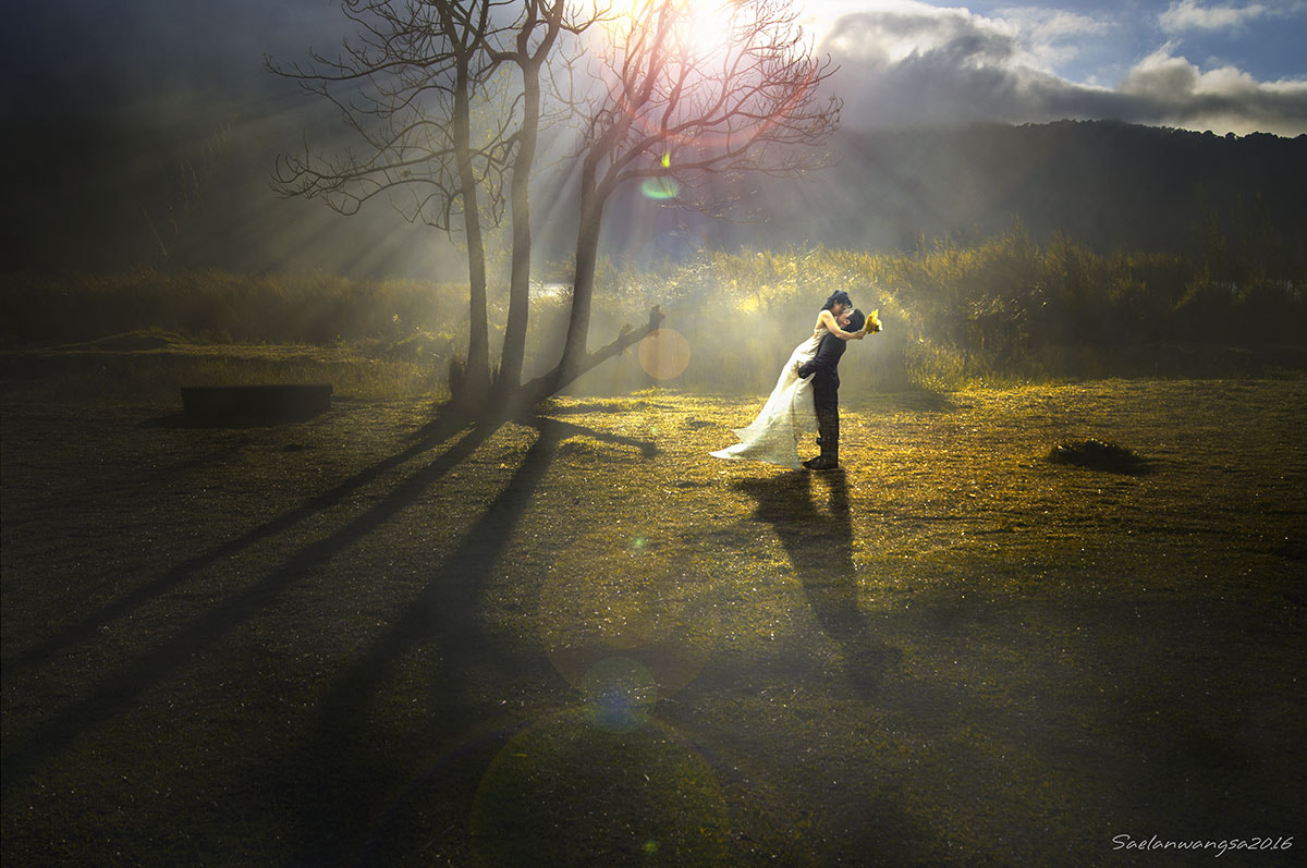Sony Alpha DSLR-A580 sample photo. Wedding photography