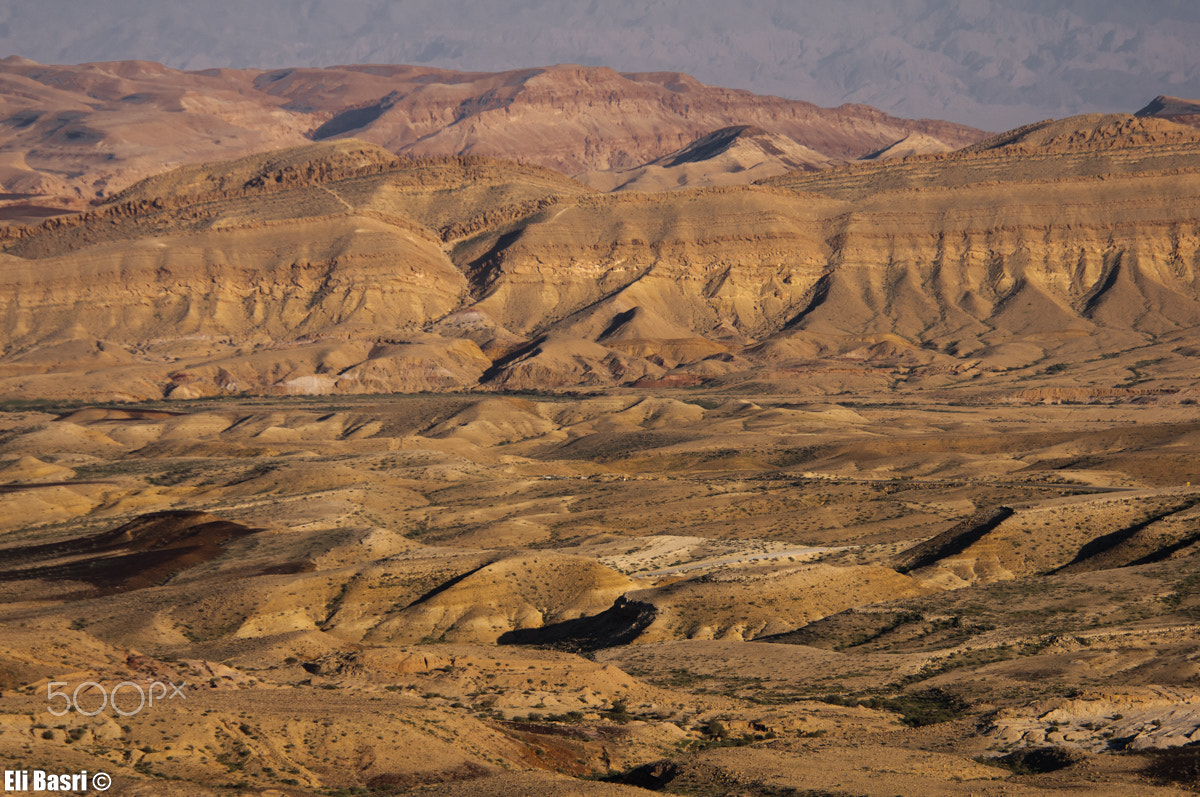 Nikon D300S sample photo. Negev desert photography