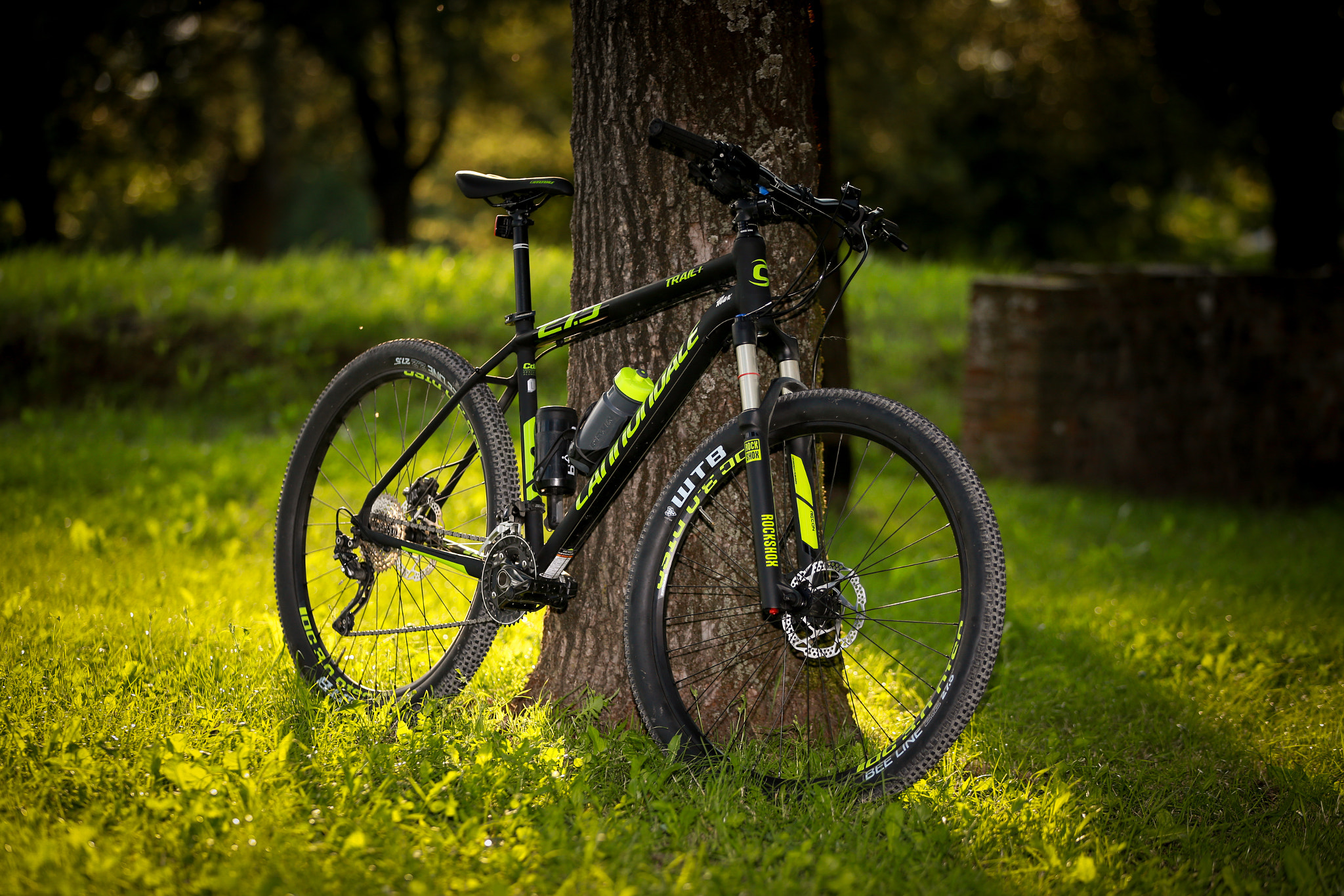 Canon EOS 6D + Canon EF 70-200mm F2.8L IS II USM sample photo. My new bike :) photography