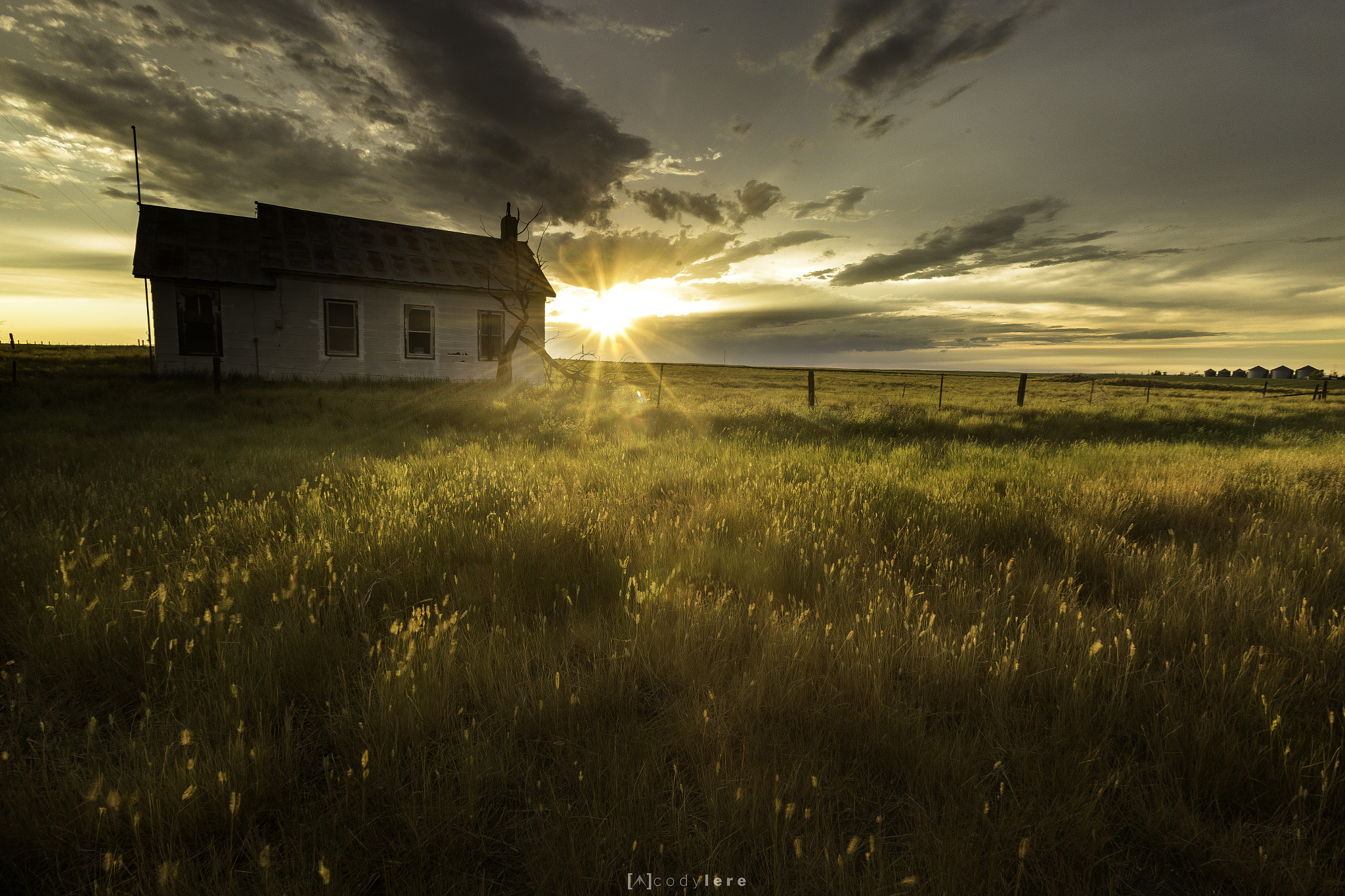 Canon EOS 6D + Canon EF 17-35mm f/2.8L sample photo. Field of gold photography