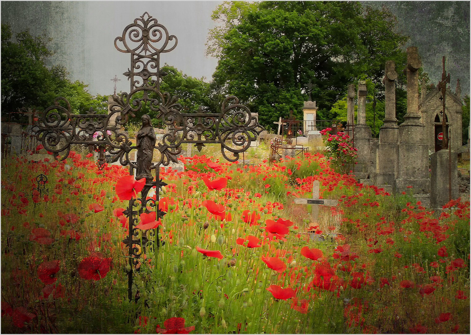 Canon EF 24-70mm F2.8L II USM sample photo. Cimetière photography