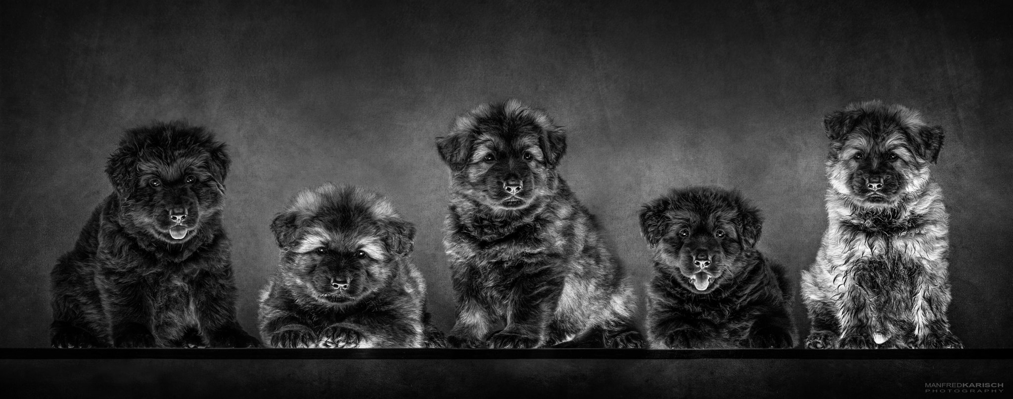 Canon EOS-1D X sample photo. Little rascals photography