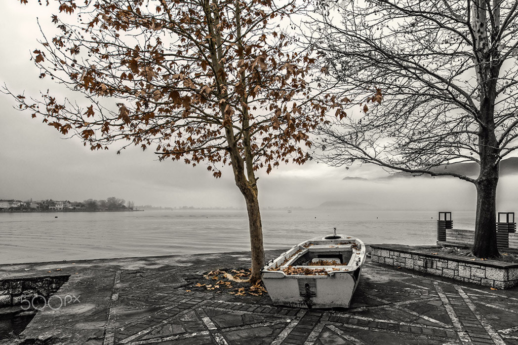 Nikon D800E sample photo. Colours of winter photography