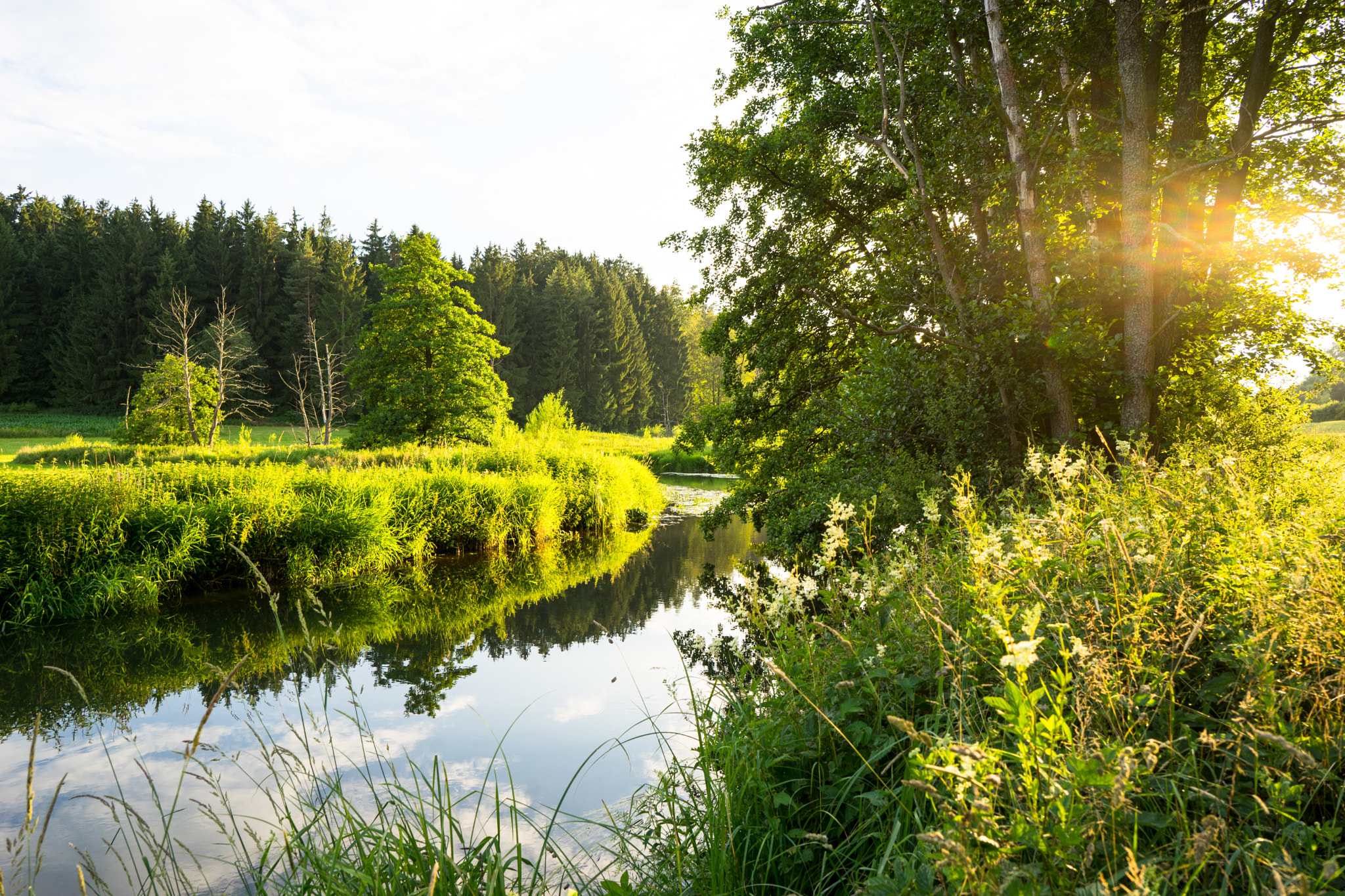 Sony a7 II + ZEISS Batis 25mm F2 sample photo. Labertal - nahe lupburg / near lupburg photography