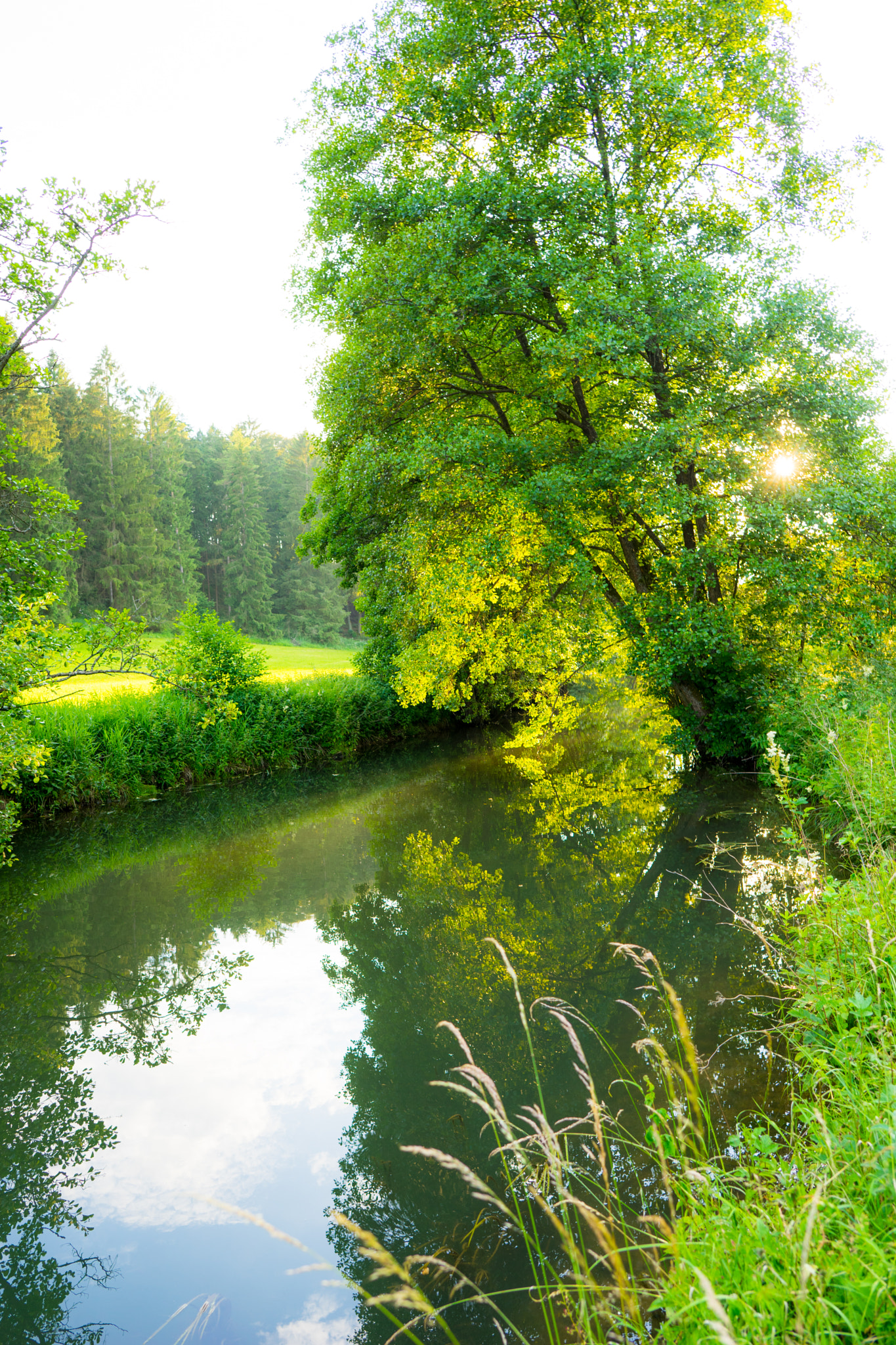 ZEISS Batis 25mm F2 sample photo. Labertal - nahe lupburg / near lupburg photography