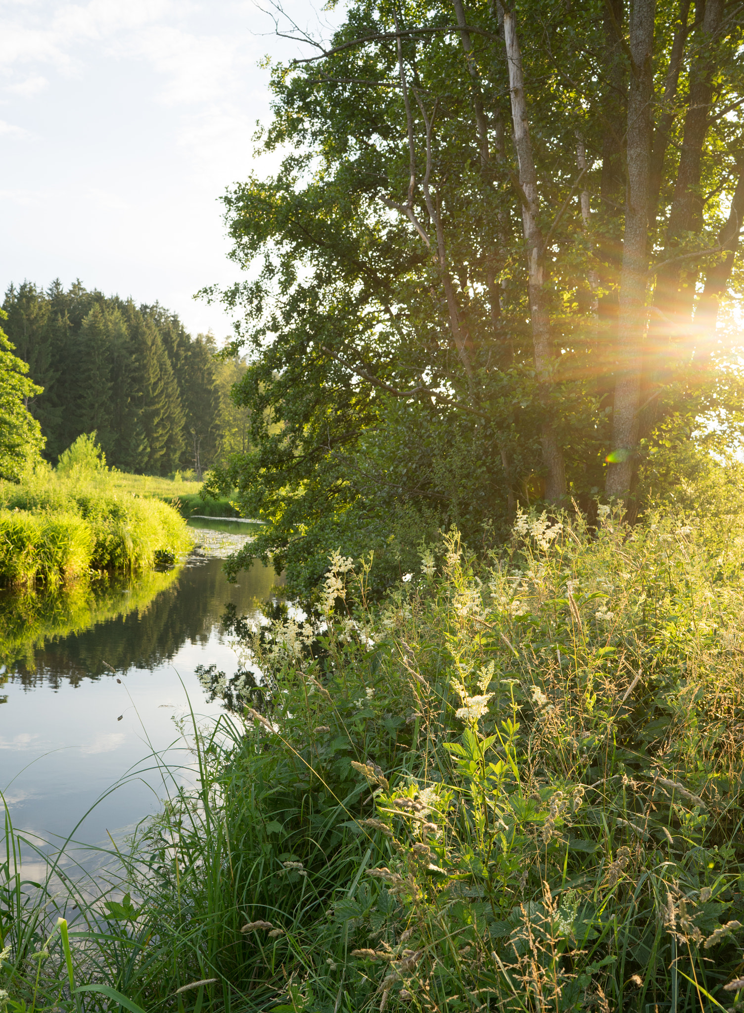 Sony a7 II + ZEISS Batis 25mm F2 sample photo. Labertal - nahe lupburg / near lupburg photography