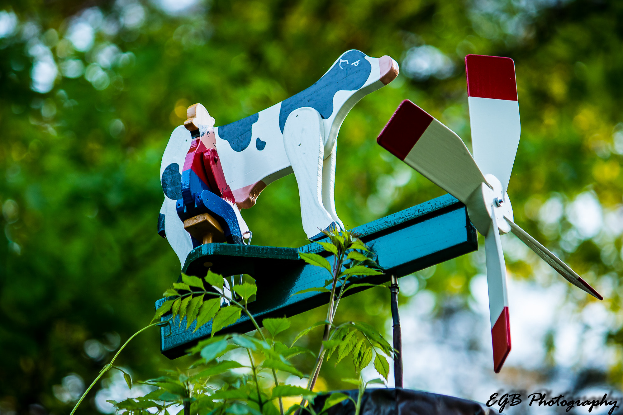 Canon EF-S 55-250mm F4-5.6 IS sample photo. Wind vane photography