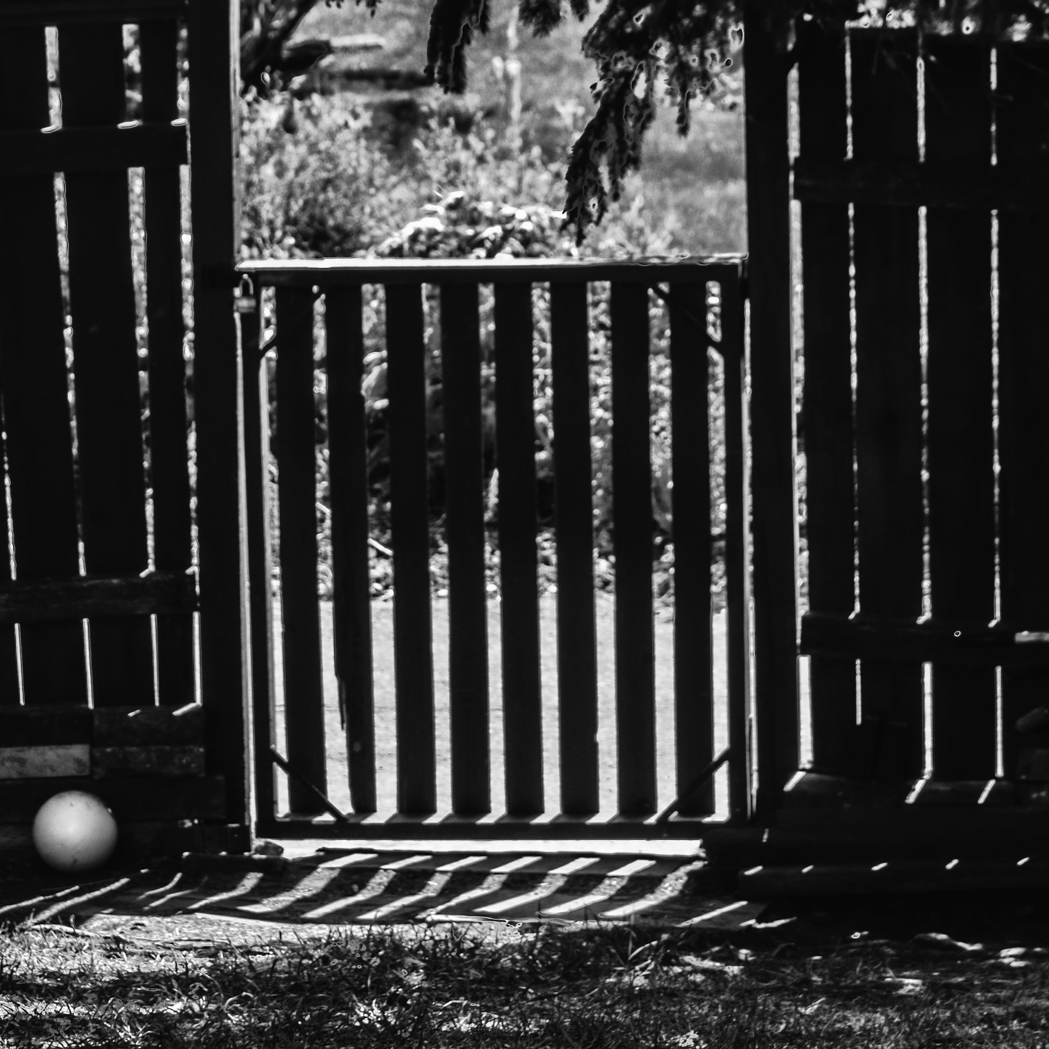 Canon EF 28-80mm f/3.5-5.6 sample photo. Backyard gate photography