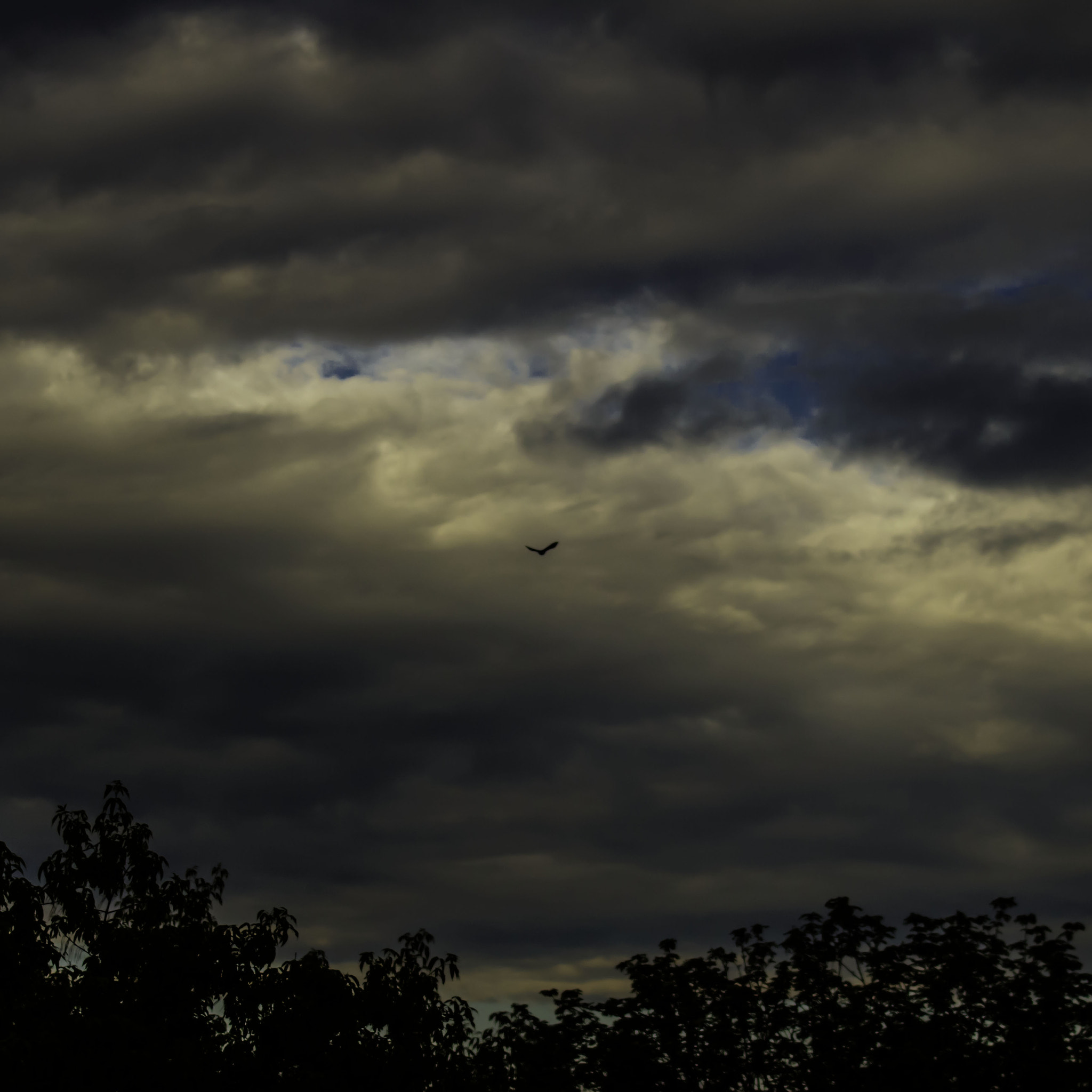 Canon EF 28-80mm f/3.5-5.6 sample photo. Morning photography