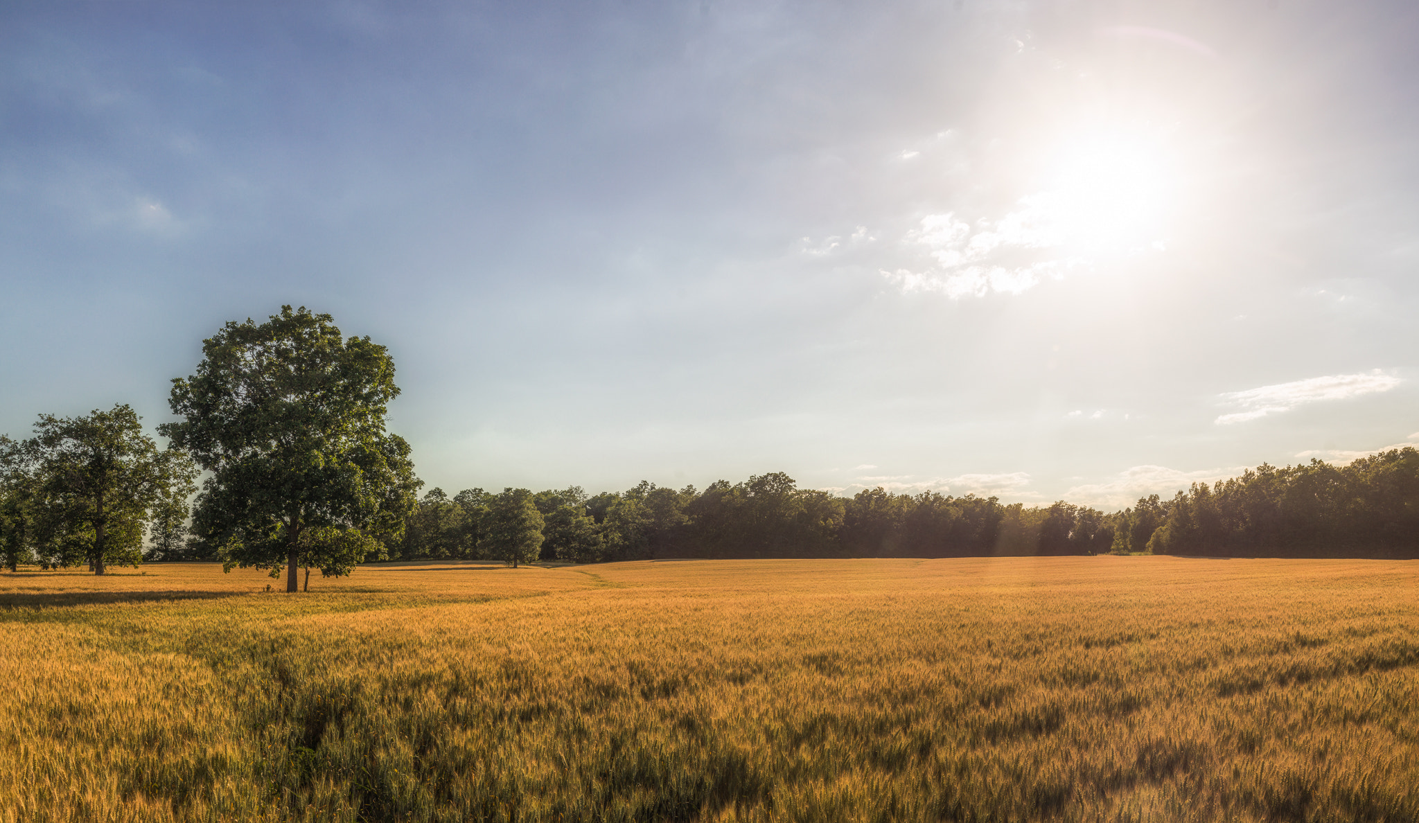 Sony SLT-A65 (SLT-A65V) + Sigma 28-70mm EX DG F2.8 sample photo. Farmer's field at sunset photography