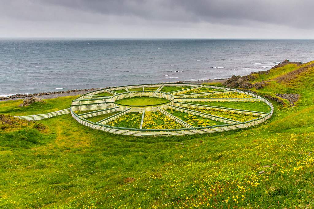 Sheep Pen by Marc Salm on 500px.com
