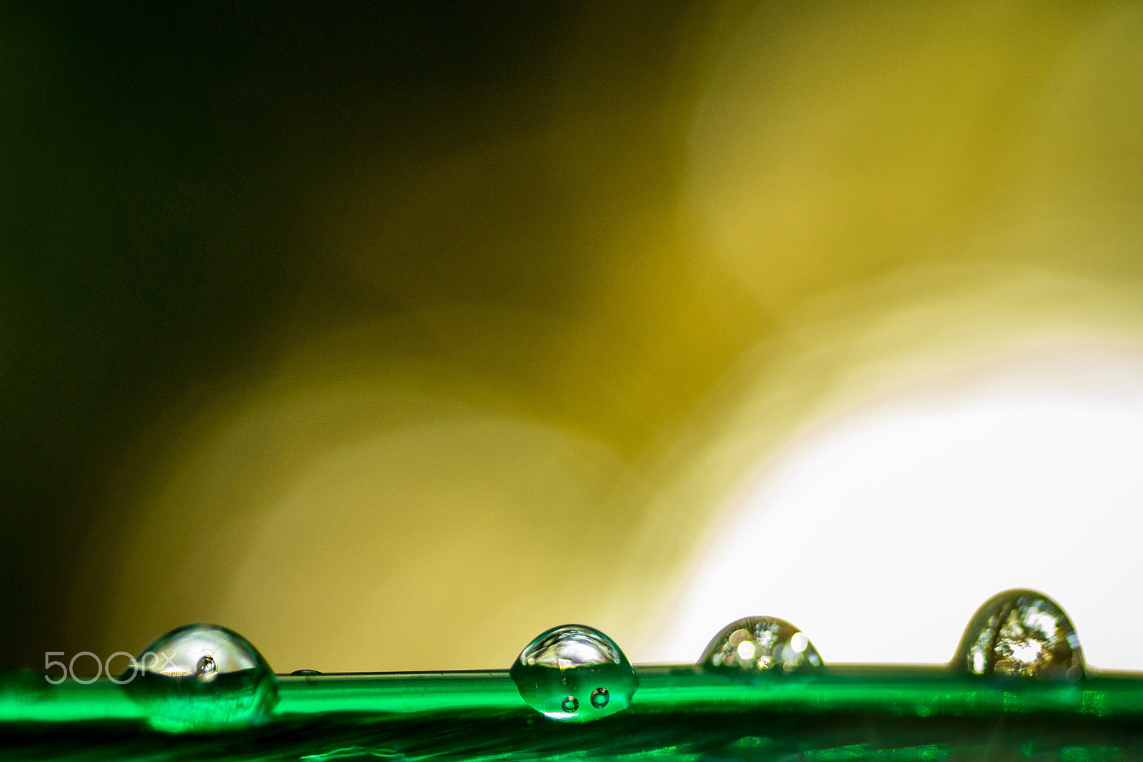 Canon EOS 70D + Canon EF 50mm F2.5 Macro sample photo. "anti-gravity drops" photography