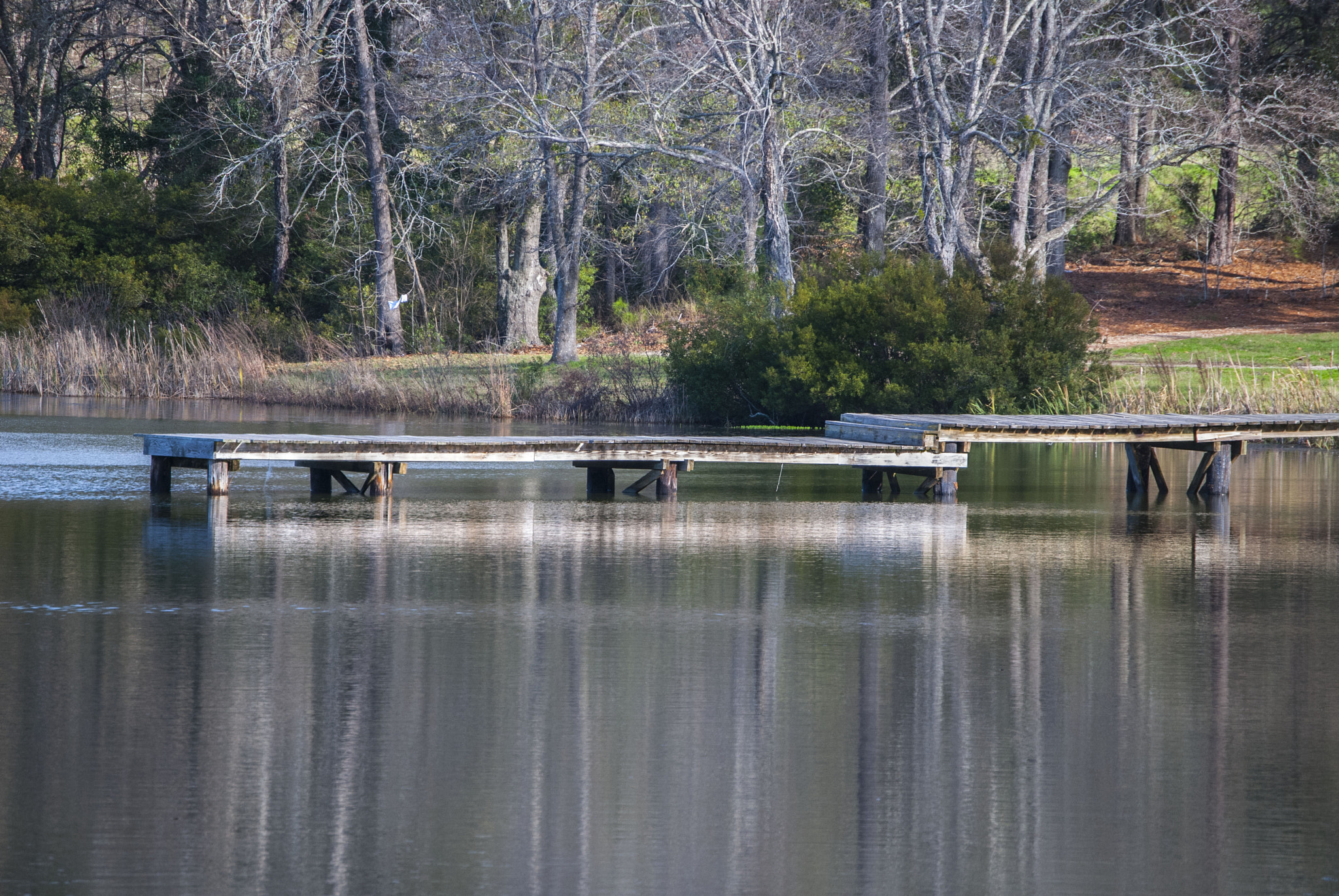 Nikon D40X sample photo. Pier photography