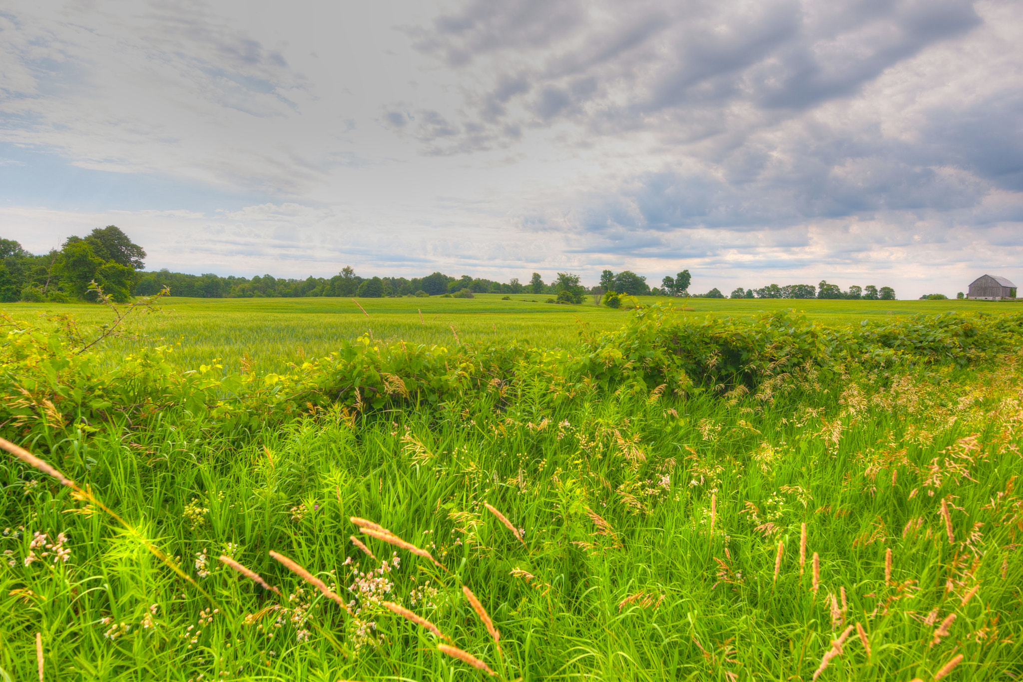 Tokina AT-X 11-20mm F2.8 PRO DX sample photo. Country field photography