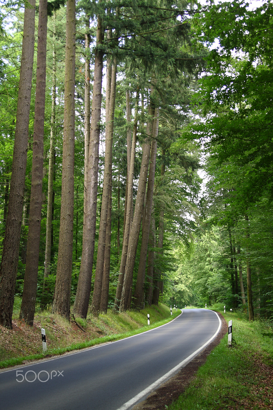 Canon EOS 40D sample photo. The country road photography