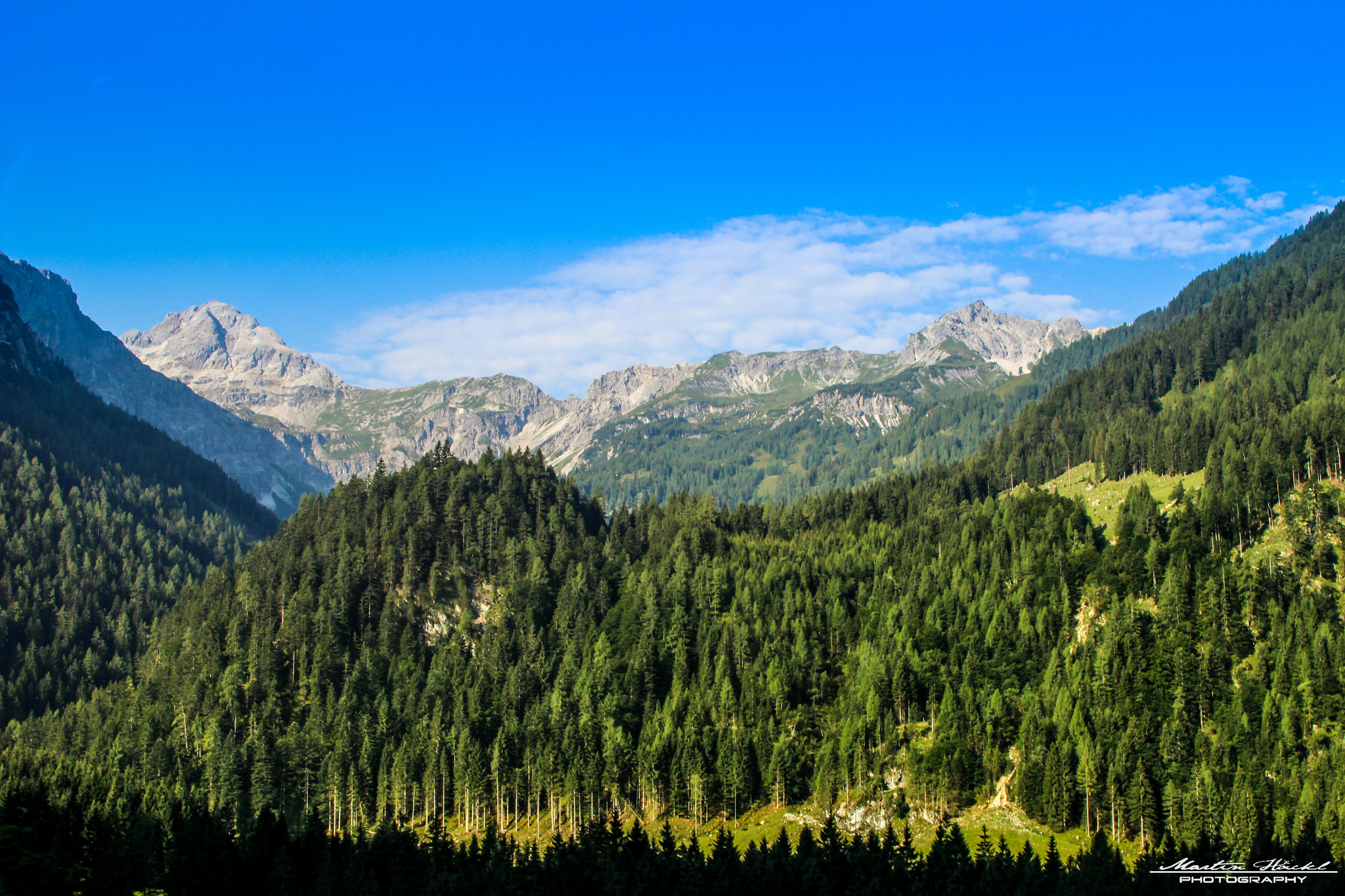 Canon EF 28-135mm F3.5-5.6 IS USM sample photo. Mountains&trees photography