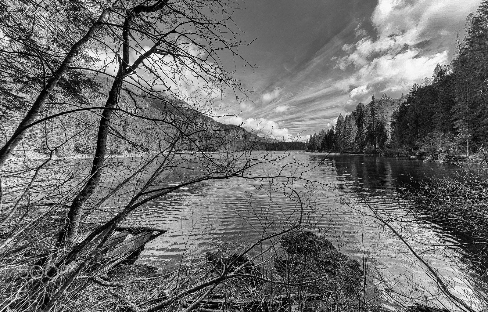 Nikon D750 + Sigma 12-24mm F4.5-5.6 EX DG Aspherical HSM sample photo. Tovel lake b w photography