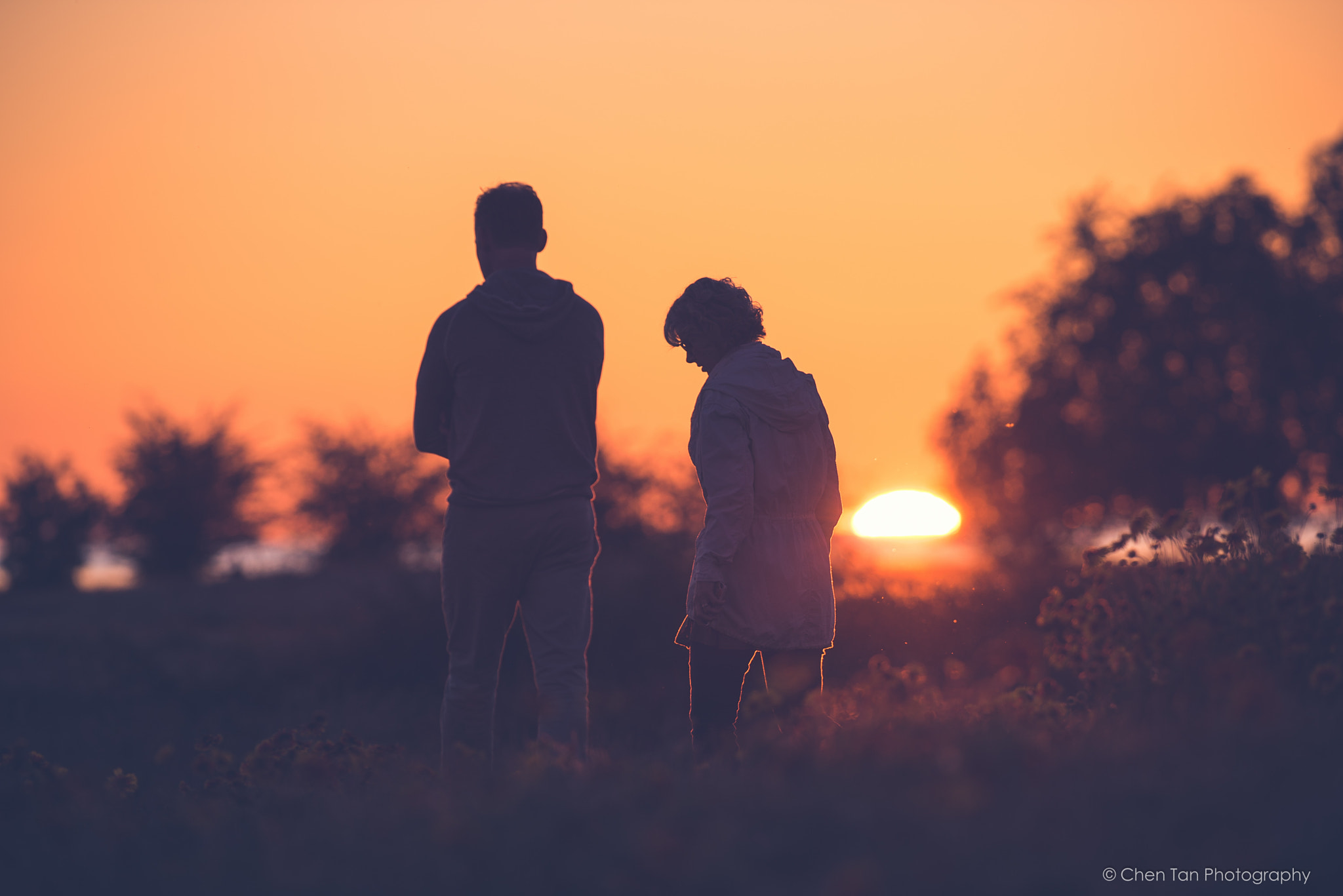 Nikon D810 + Nikon AF-S Nikkor 300mm F2.8G ED-IF VR sample photo. Strolling at gary point park photography