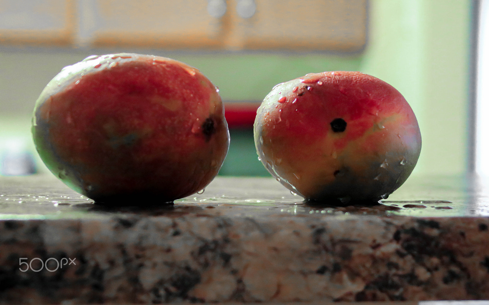 Canon EF 28-300mm F3.5-5.6L IS USM sample photo. Mangos photography