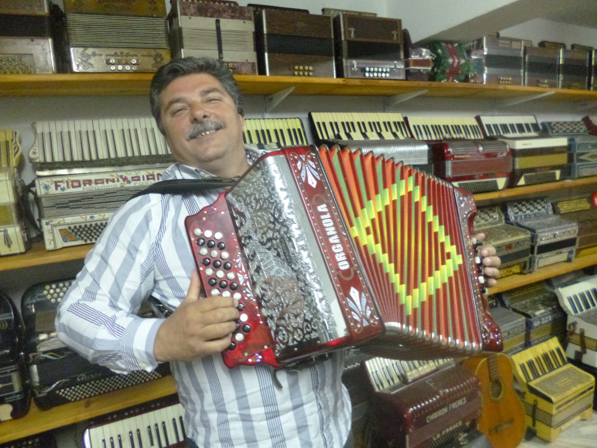 Panasonic DMC-FS45 sample photo. Accordion is my passion photography