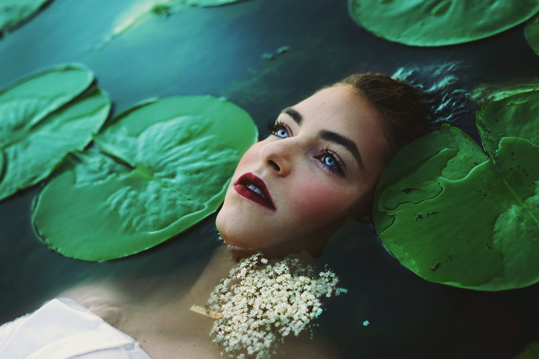 Sony ILCA-77M2 + Sony DT 50mm F1.8 SAM sample photo. Taylor photography