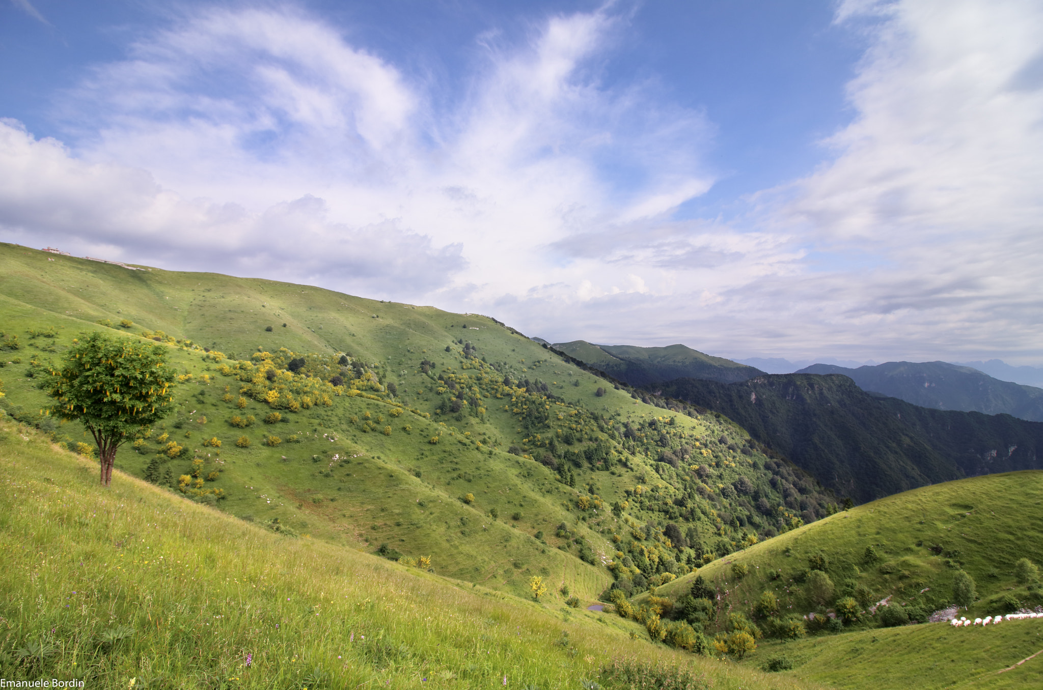 Canon EF-S 10-18mm F4.5–5.6 IS STM sample photo. View from mount palon photography