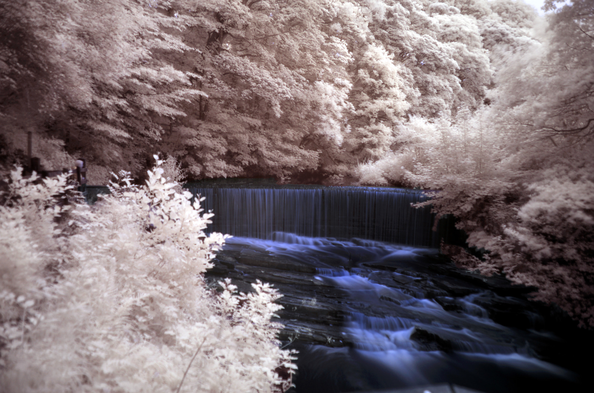 AF Zoom-Nikkor 35-135mm f/3.5-4.5 sample photo. Angelzarke rivington yarrow valley country park photography