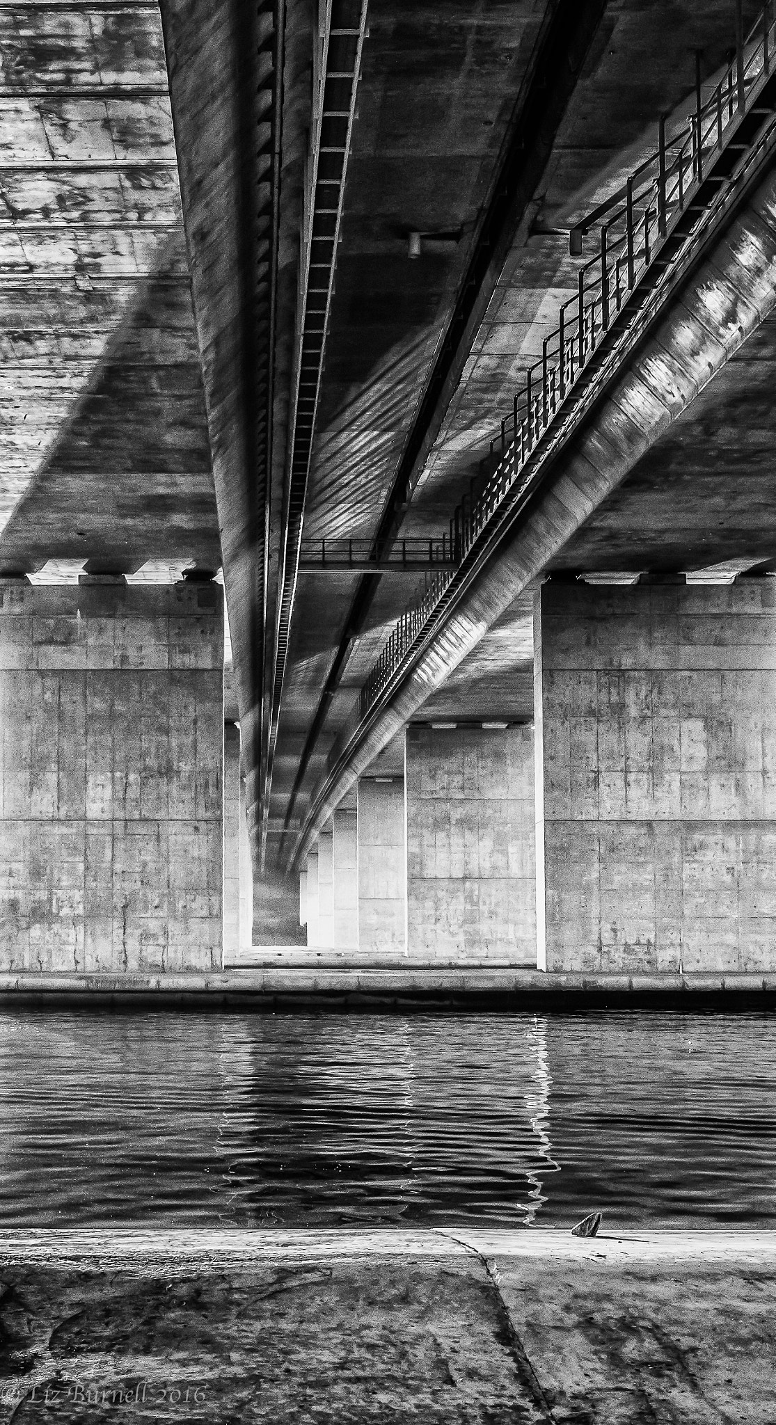 Sigma 24mm F1.4 DG HSM Art sample photo. Beauty under a bridge! photography