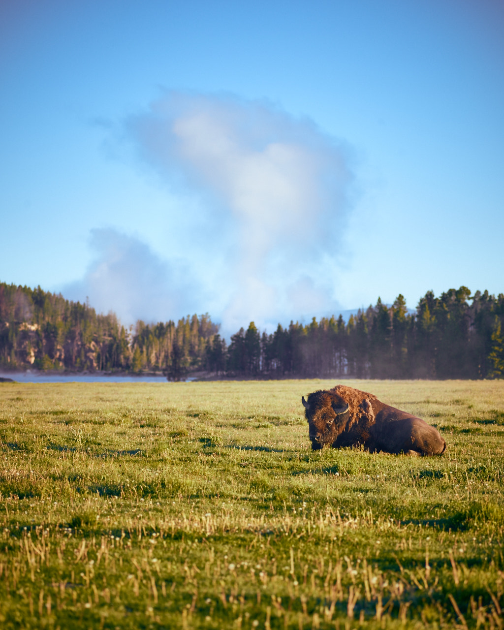 Schneider LS 150mm f/3.5 sample photo. Morning warming photography